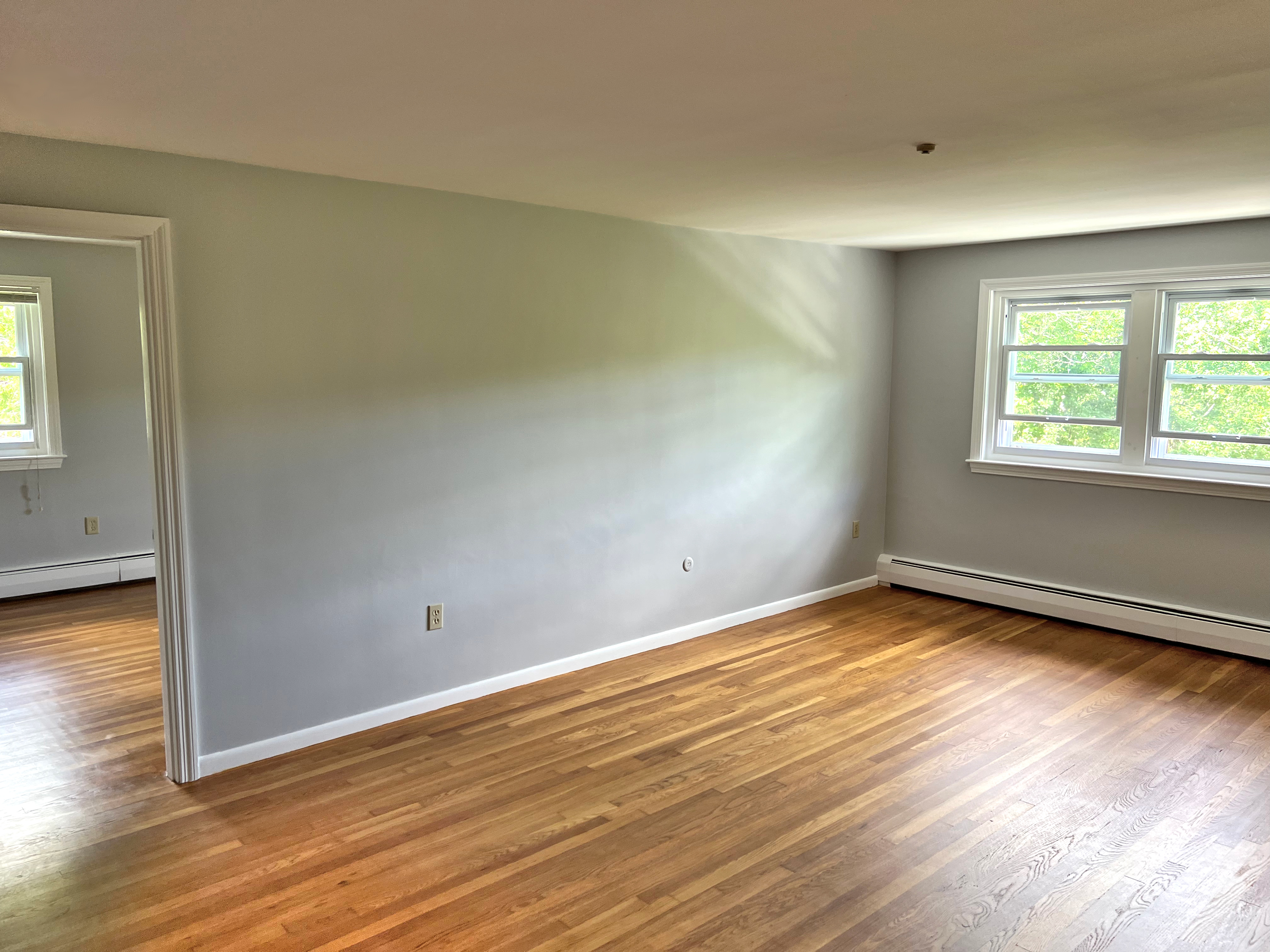 45 Maynard, Marlborough