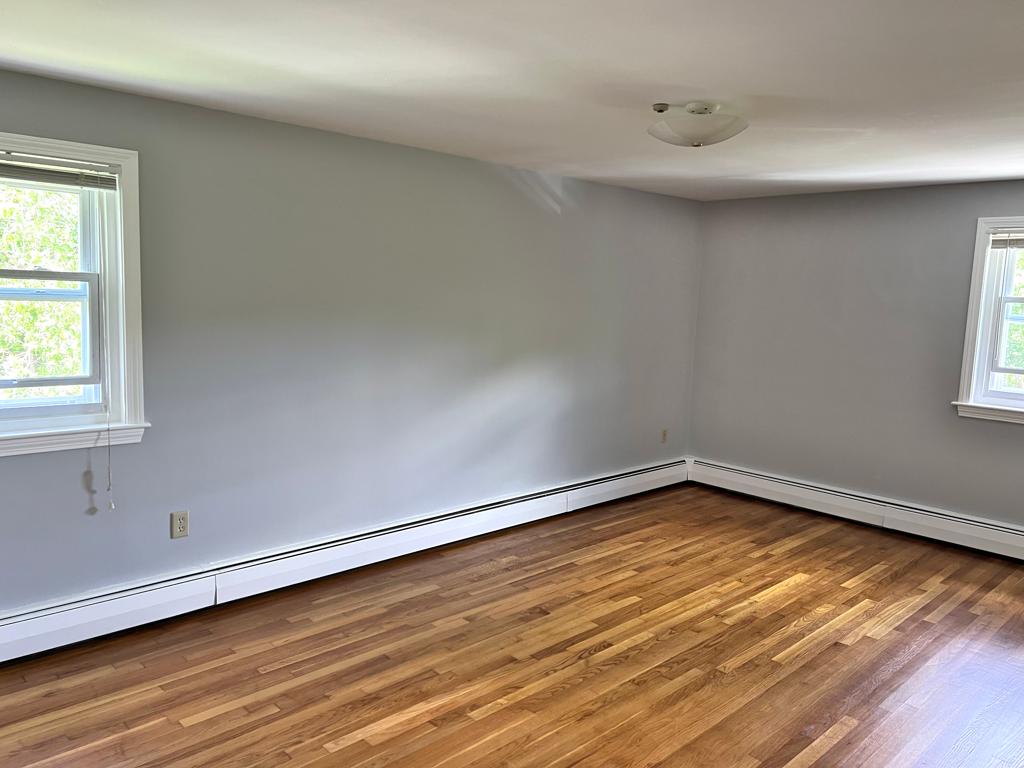 45 Maynard, Marlborough