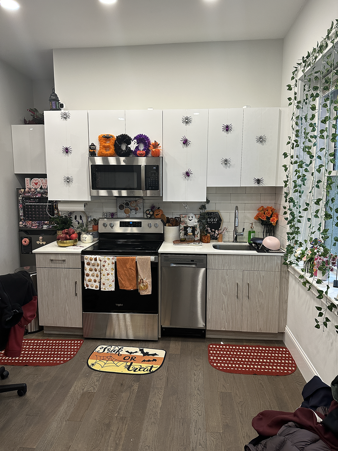 164 Queensberry, Fenway