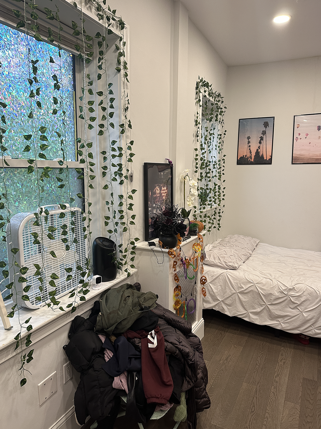 164 Queensberry, Fenway