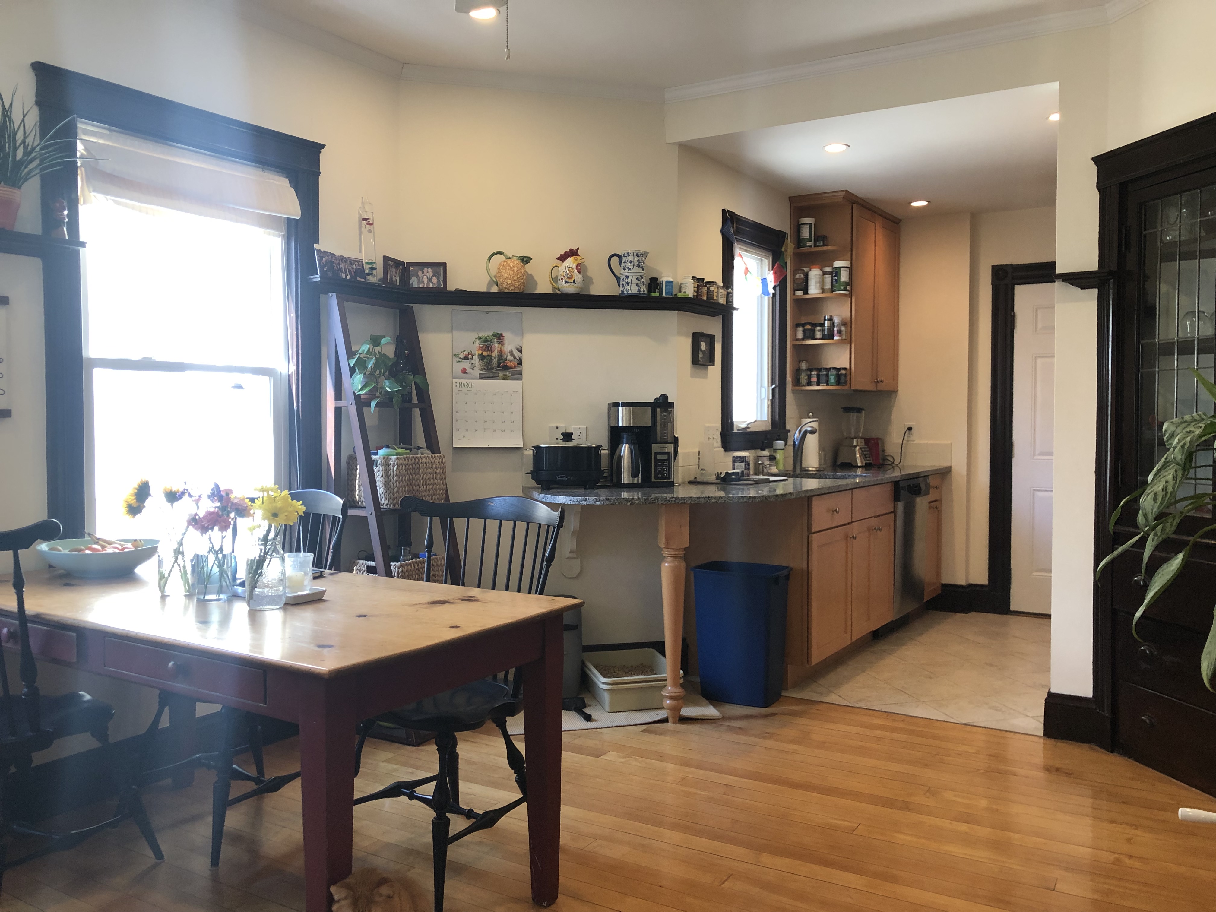 57 Magazine St, Cambridgeport