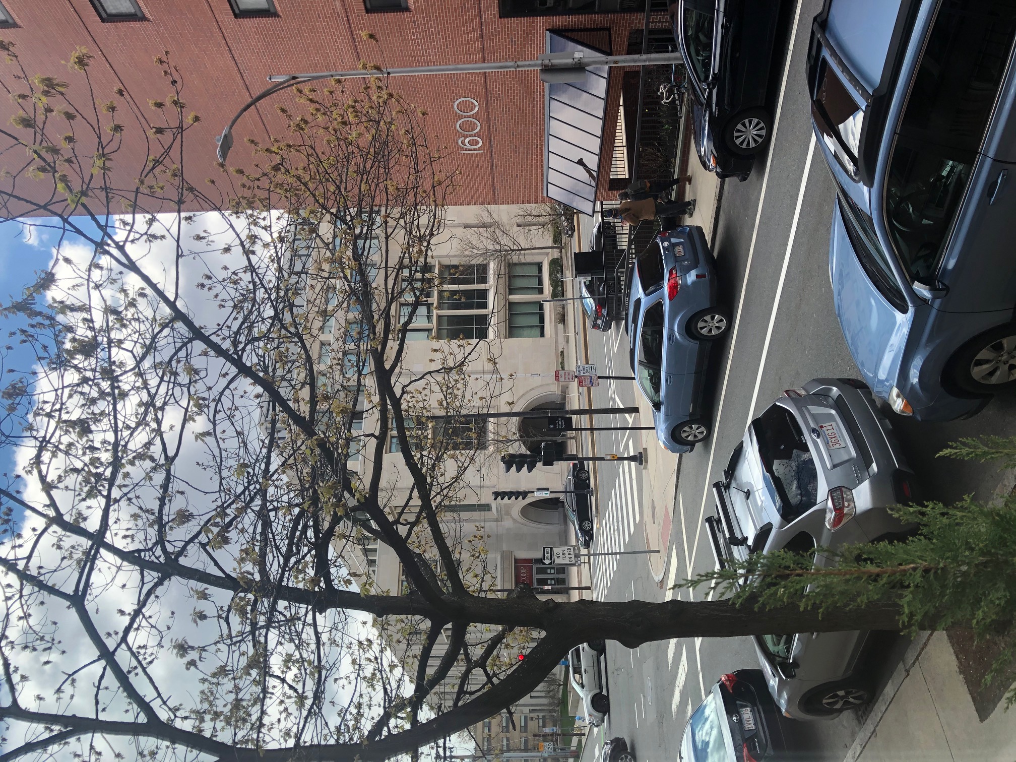 19 Rutland St, Harvard Square