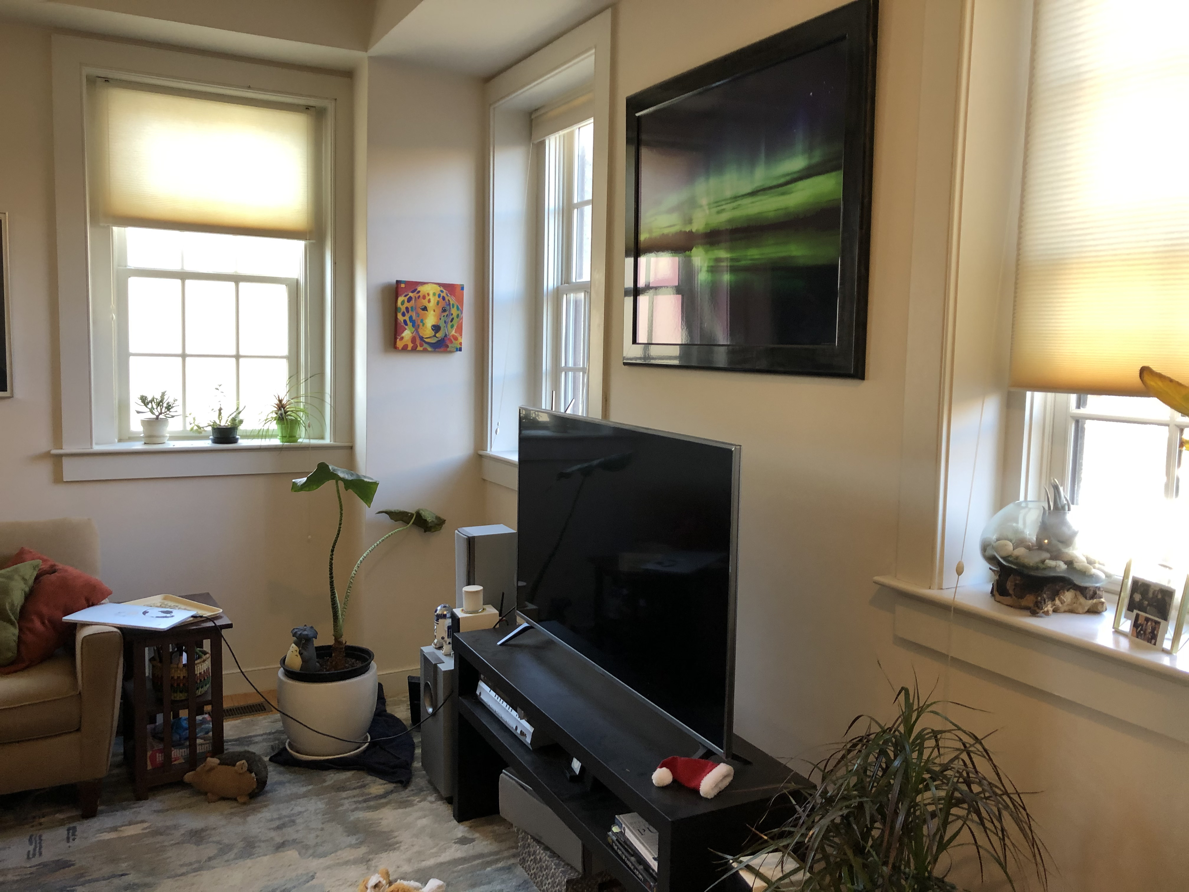 72 Hamilton St, Cambridgeport