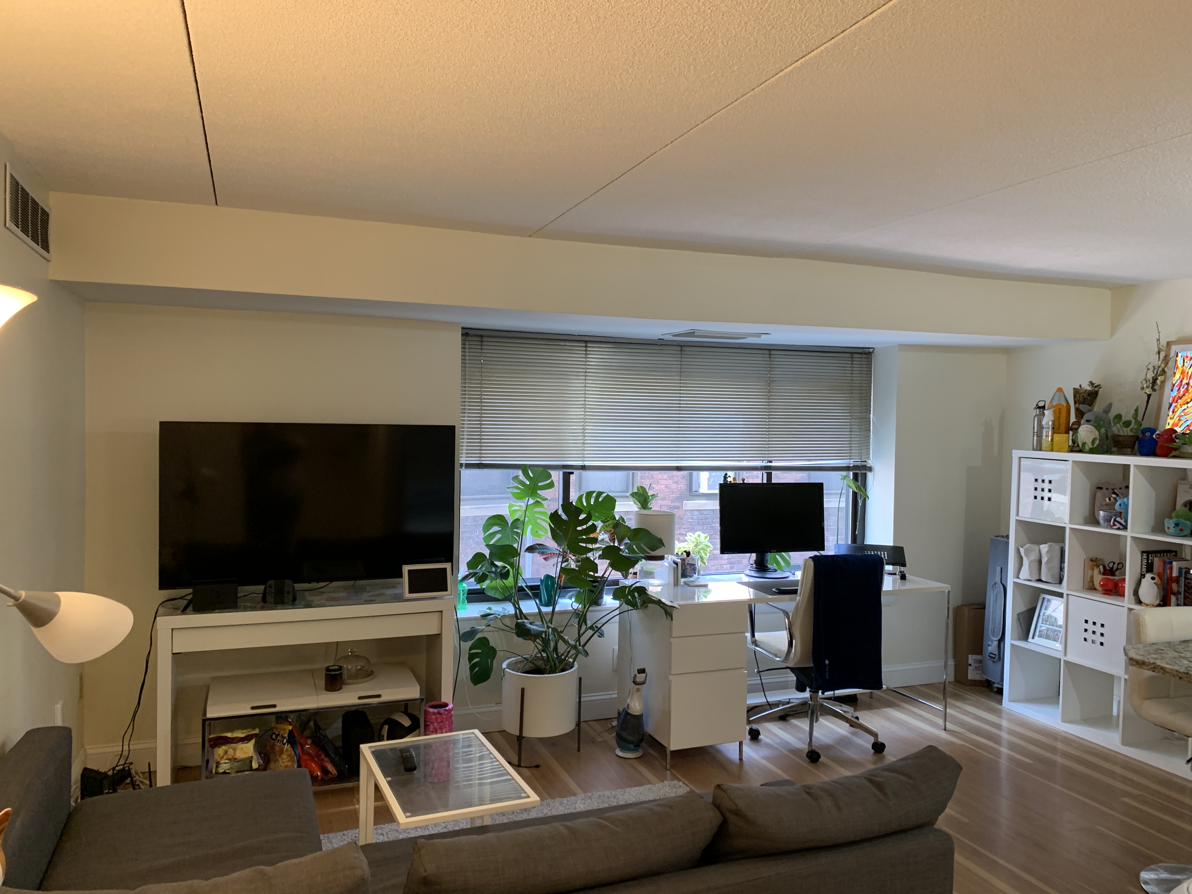 1243 Beacon St, Longwood