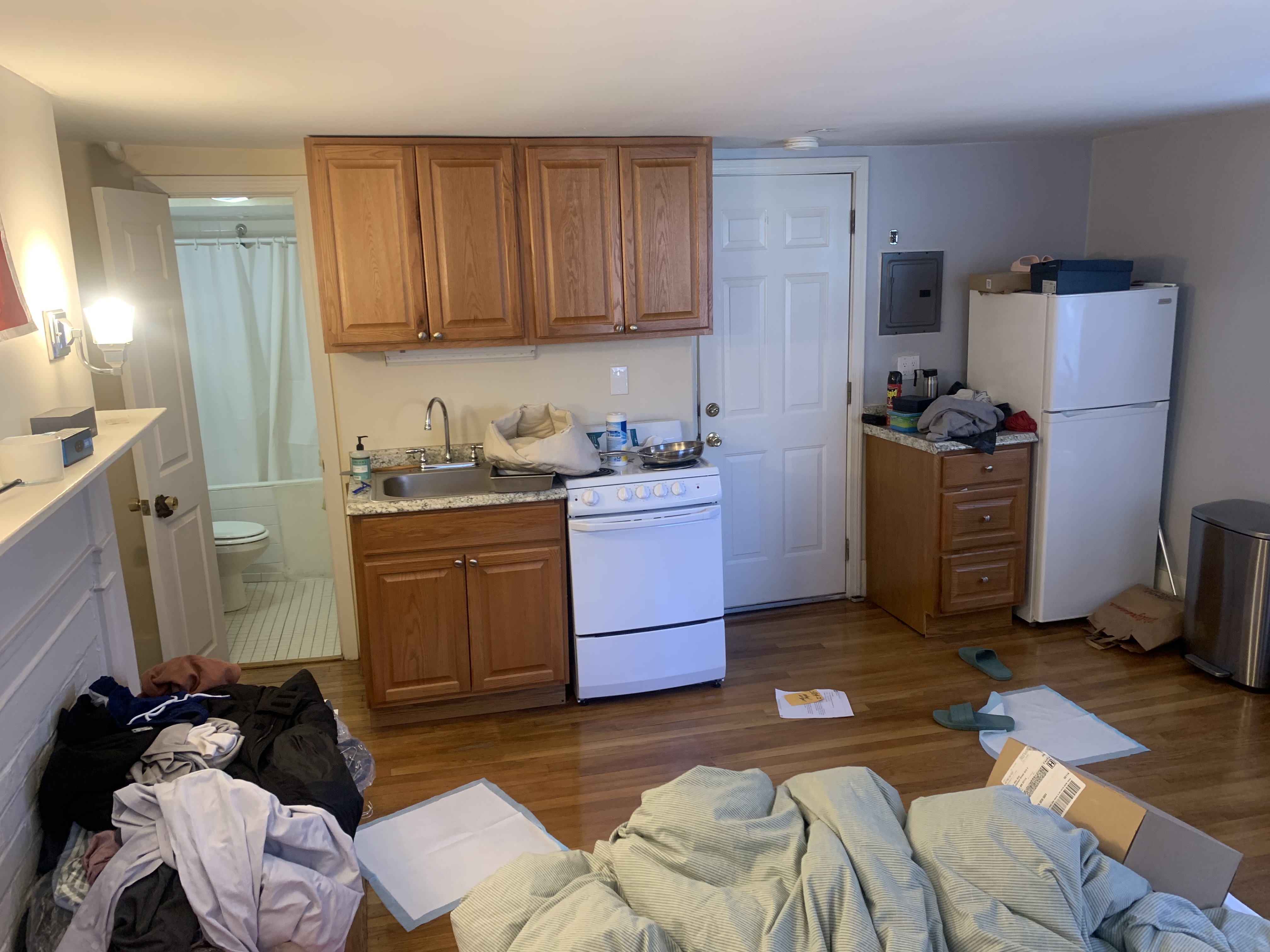 58 Anderson St, Beacon Hill