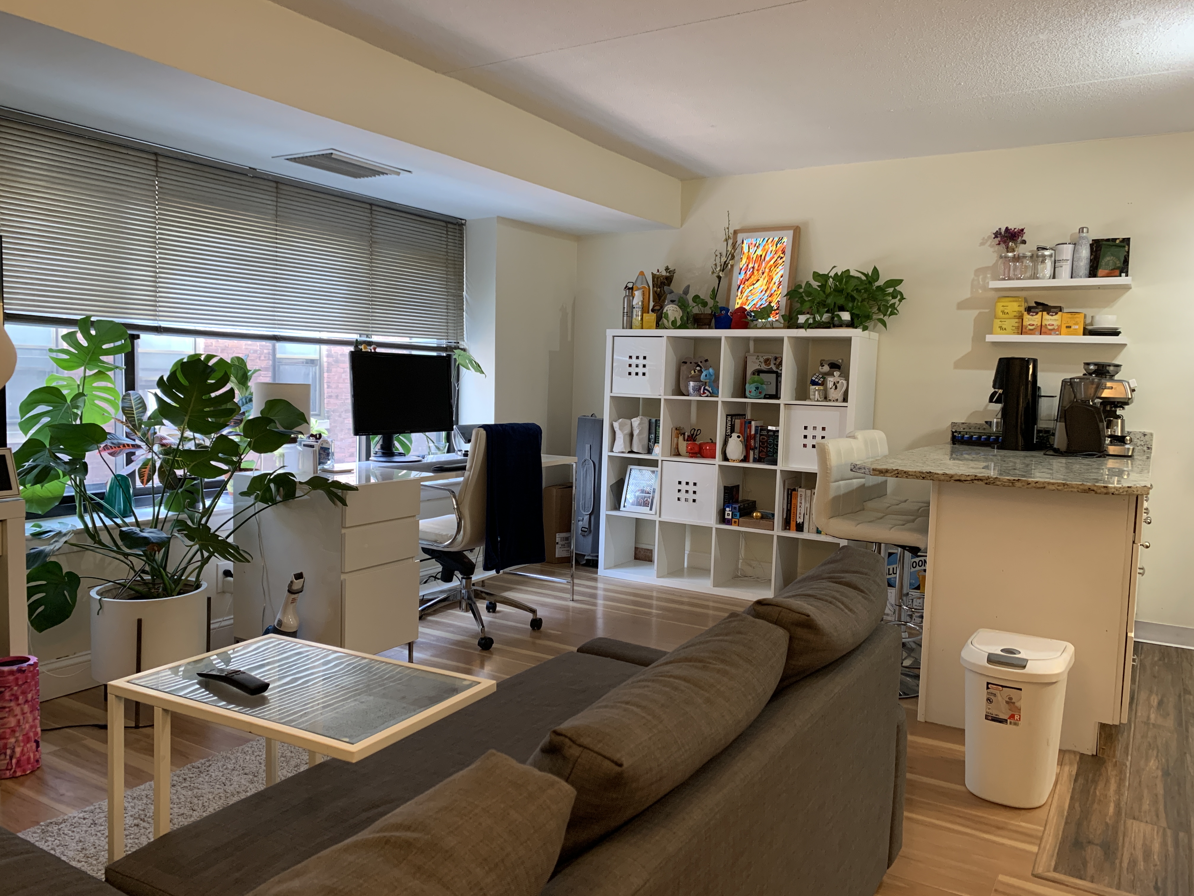 1243 Beacon St, Longwood