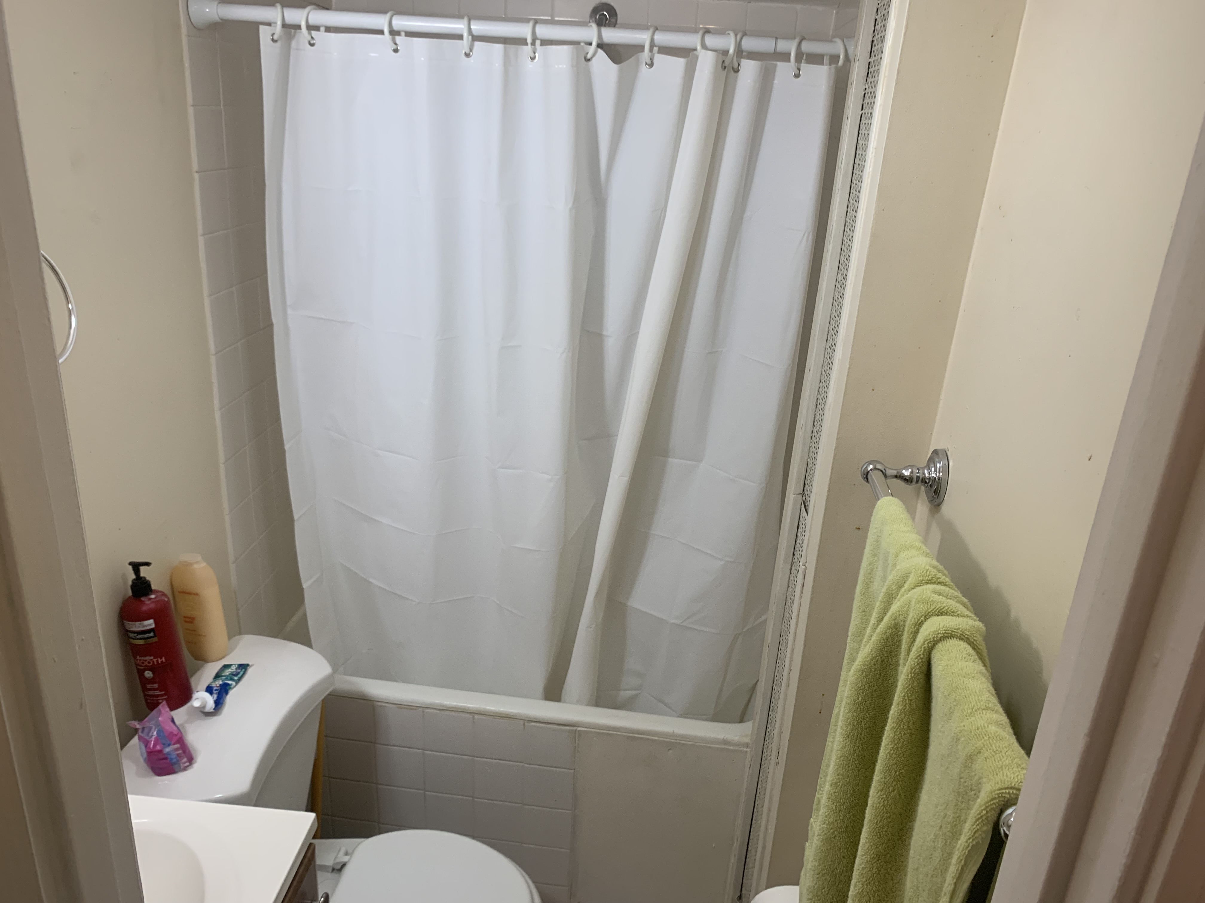 58 Anderson St, Beacon Hill