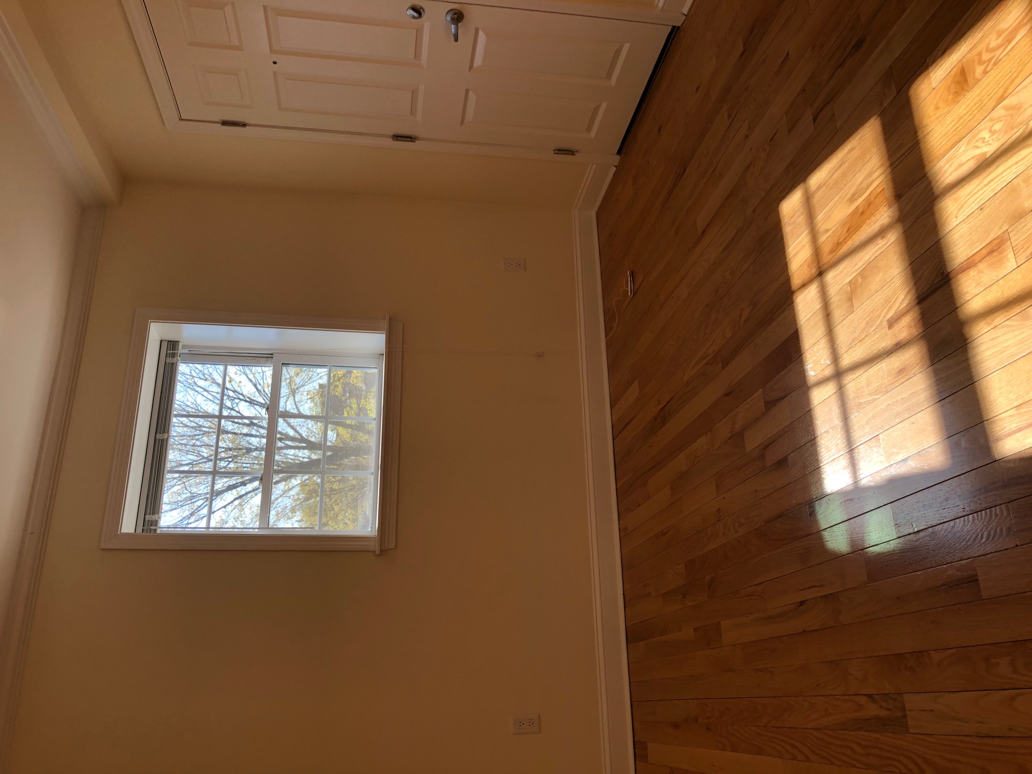 16 Avon St, Harvard Square