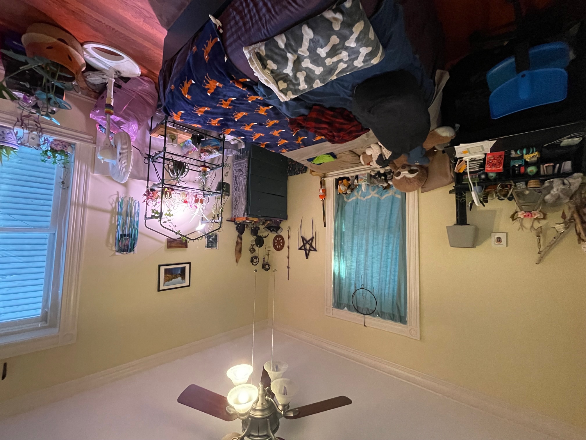 5 Prospect Hill Ave, Union Square