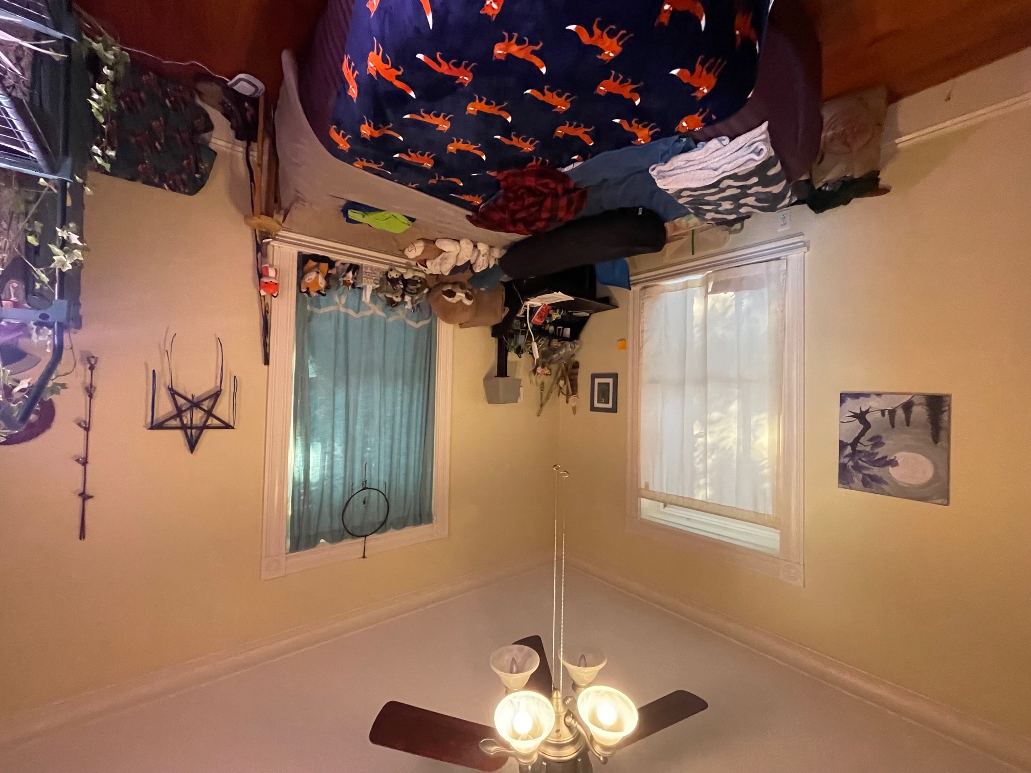 5 Prospect Hill Ave, Union Square