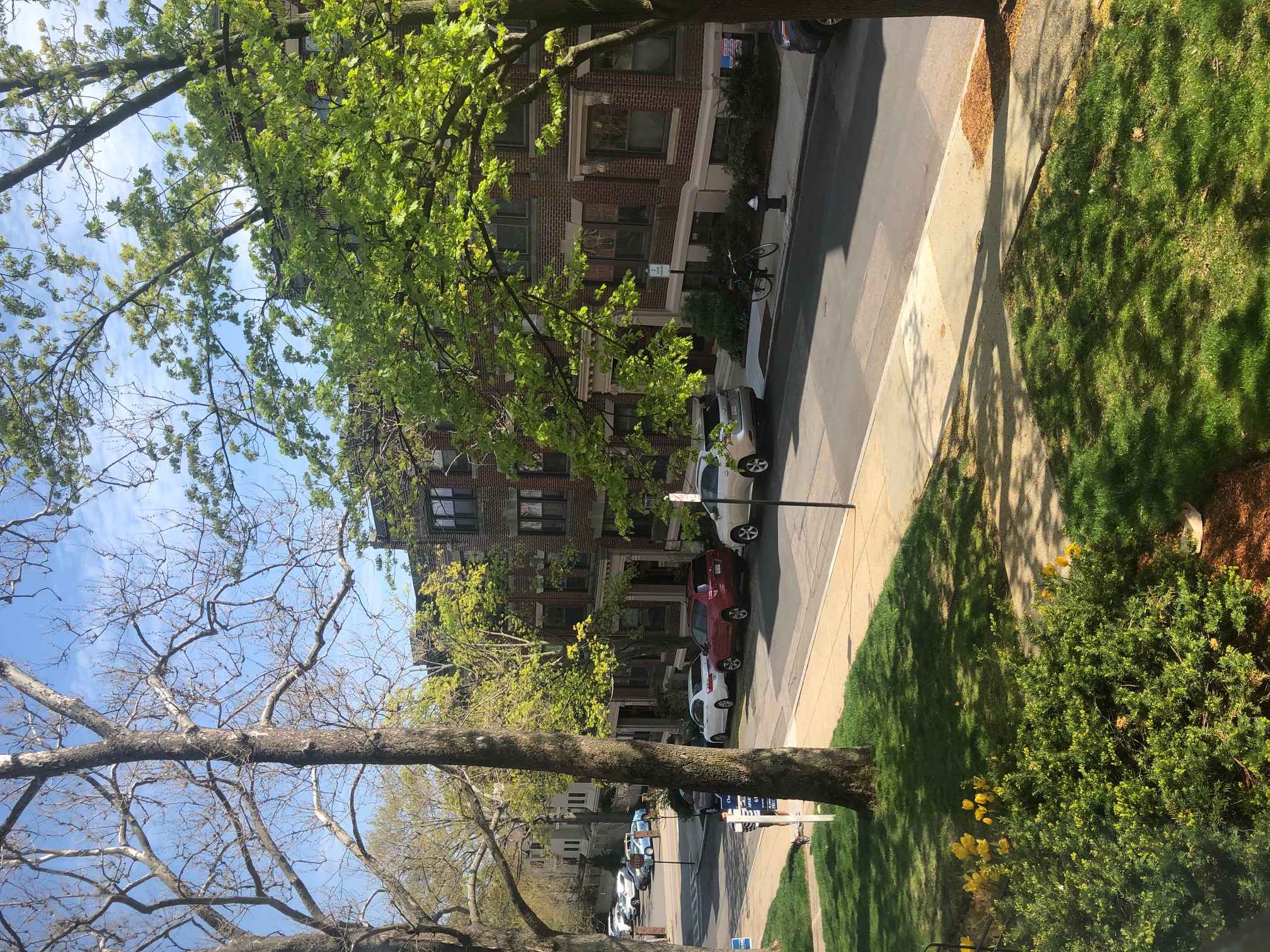 8 Littell Rd, Coolidge Corner