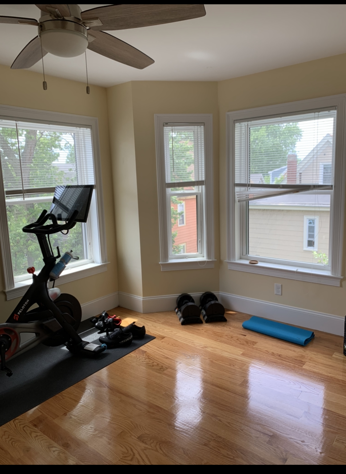 116 Holland St, Davis Square