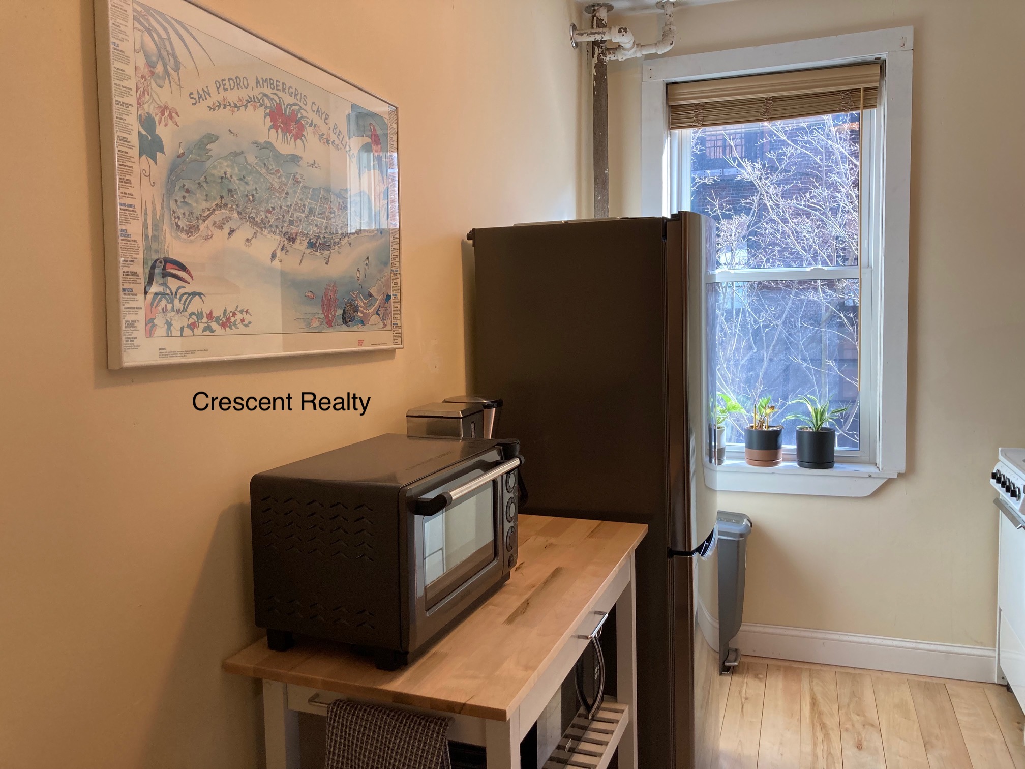 108 Myrtle St, Beacon Hill