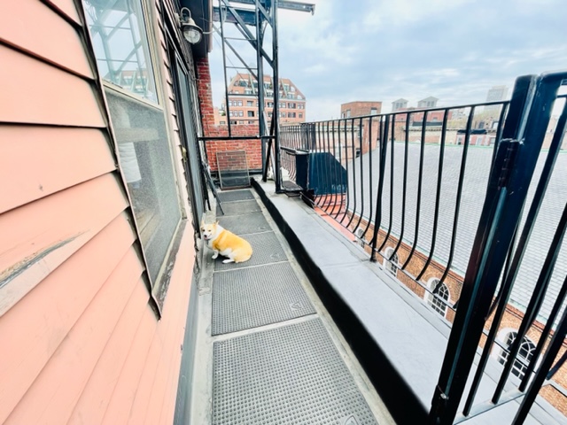 8 Harris St, North End