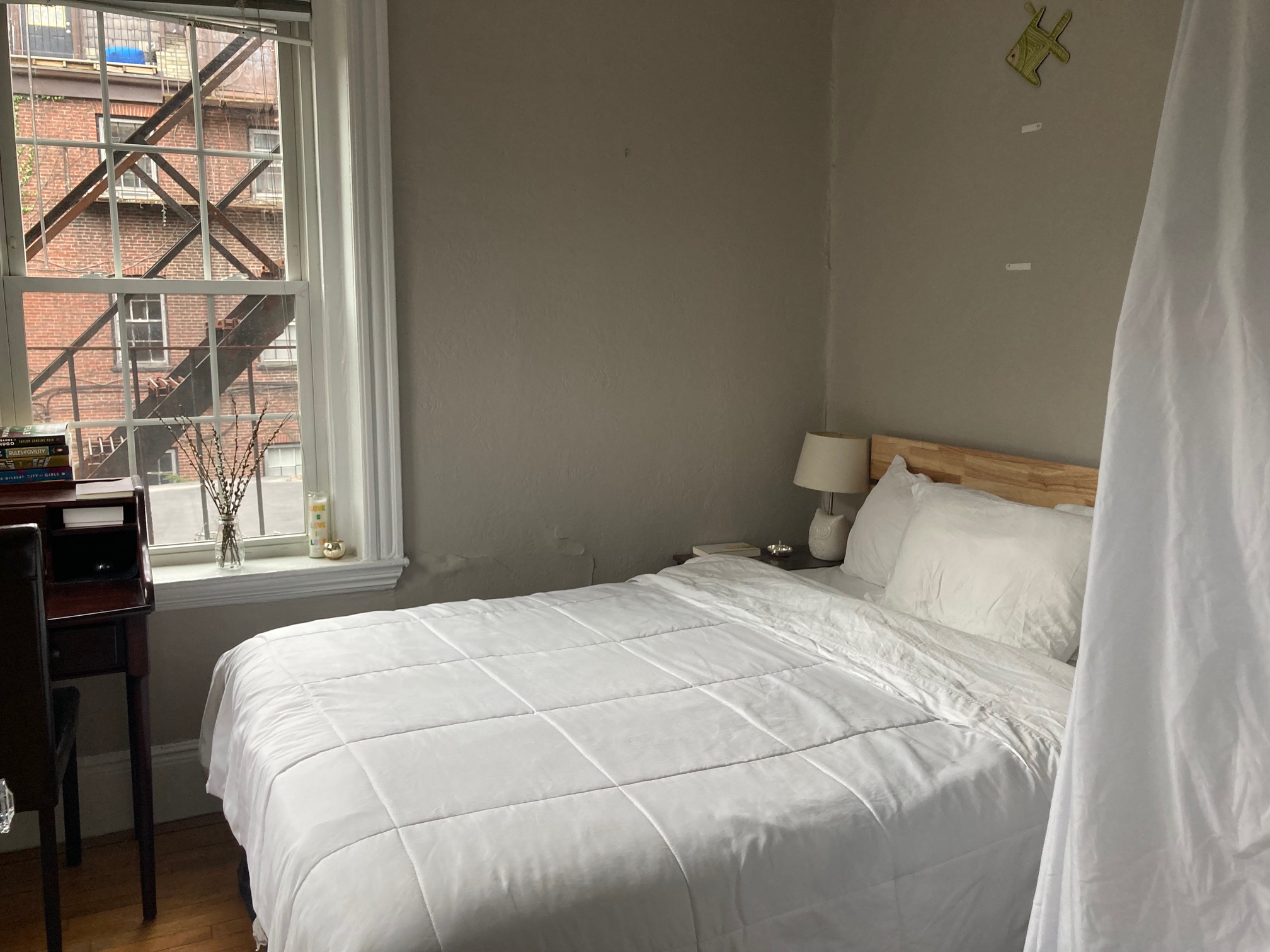 26 Myrtle St, Beacon Hill