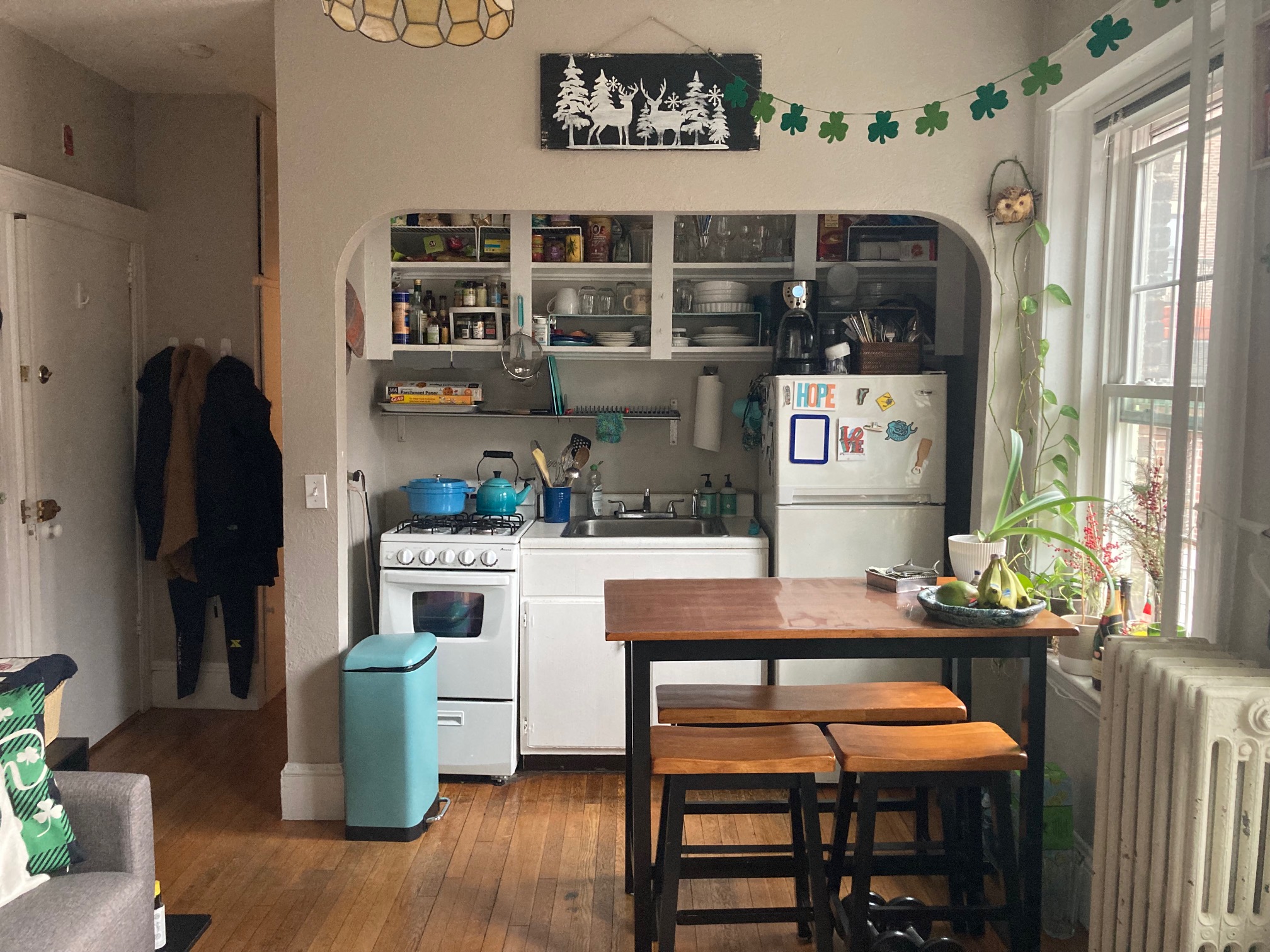 26 Myrtle St, Beacon Hill