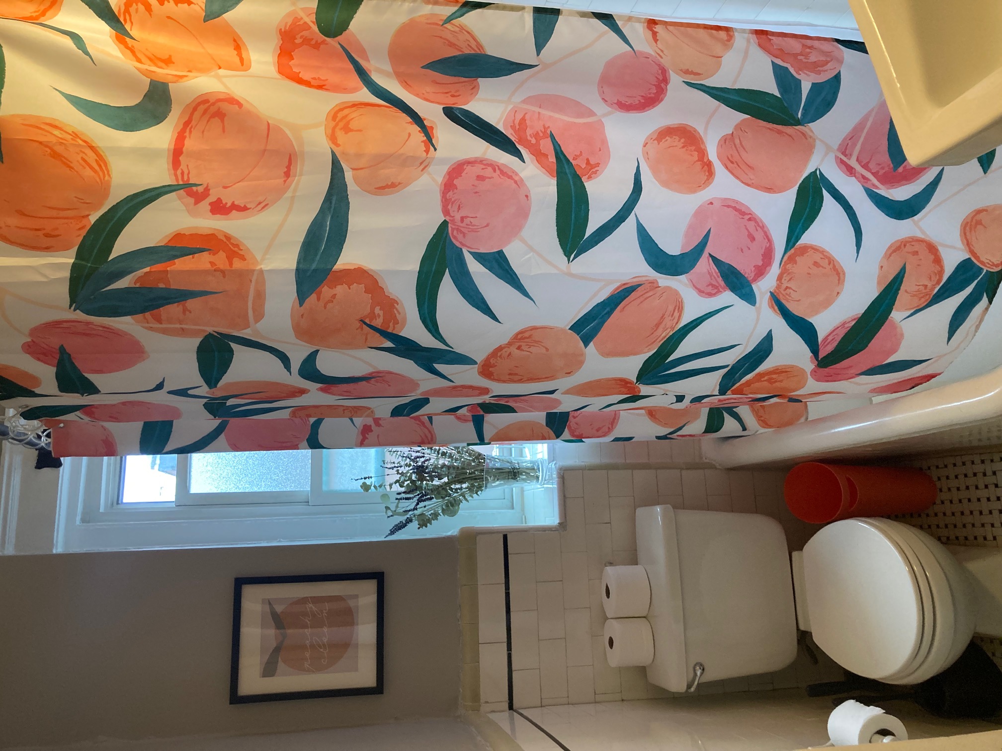 26 Myrtle St, Beacon Hill