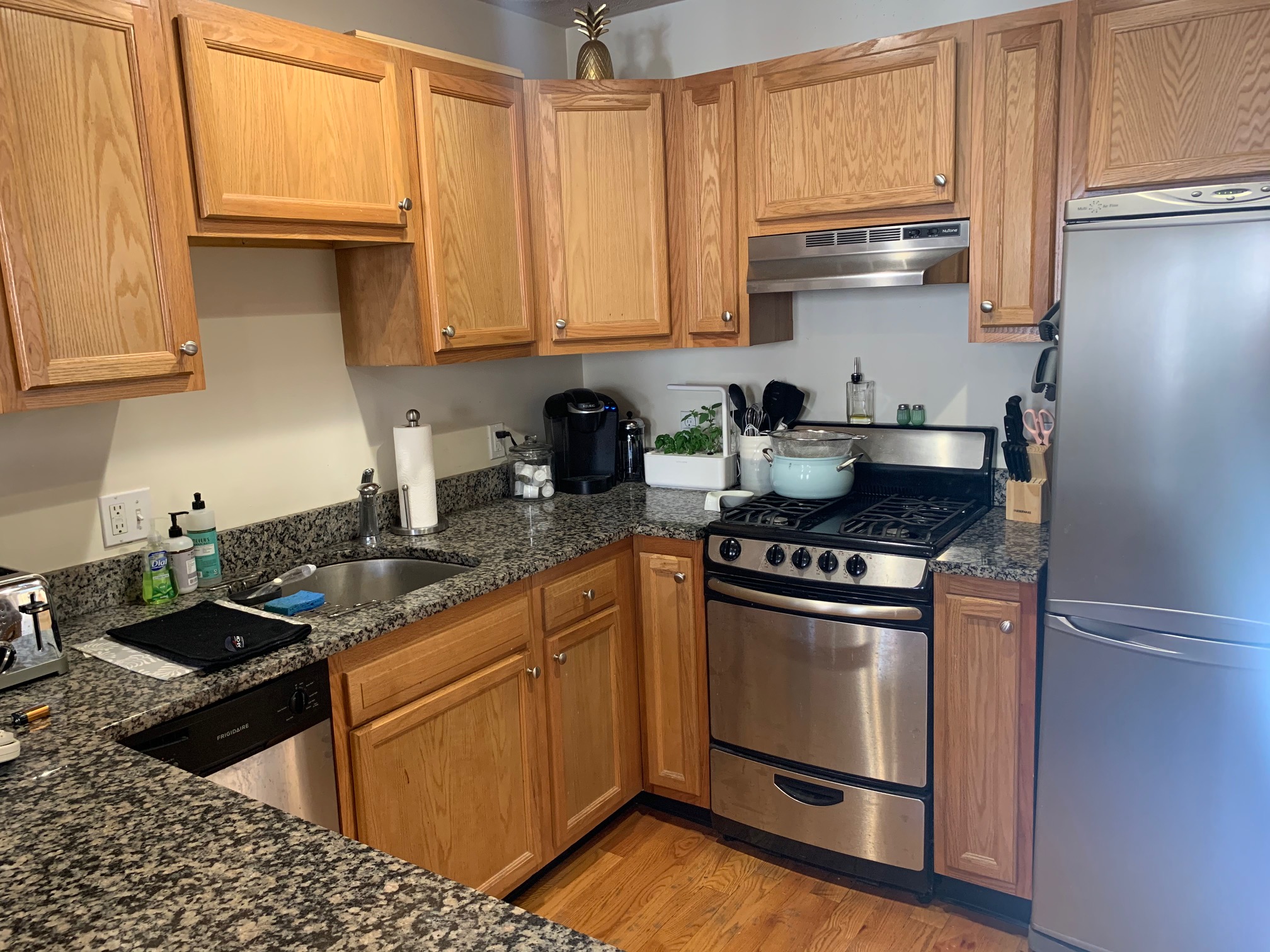 93 Endicott St, North End