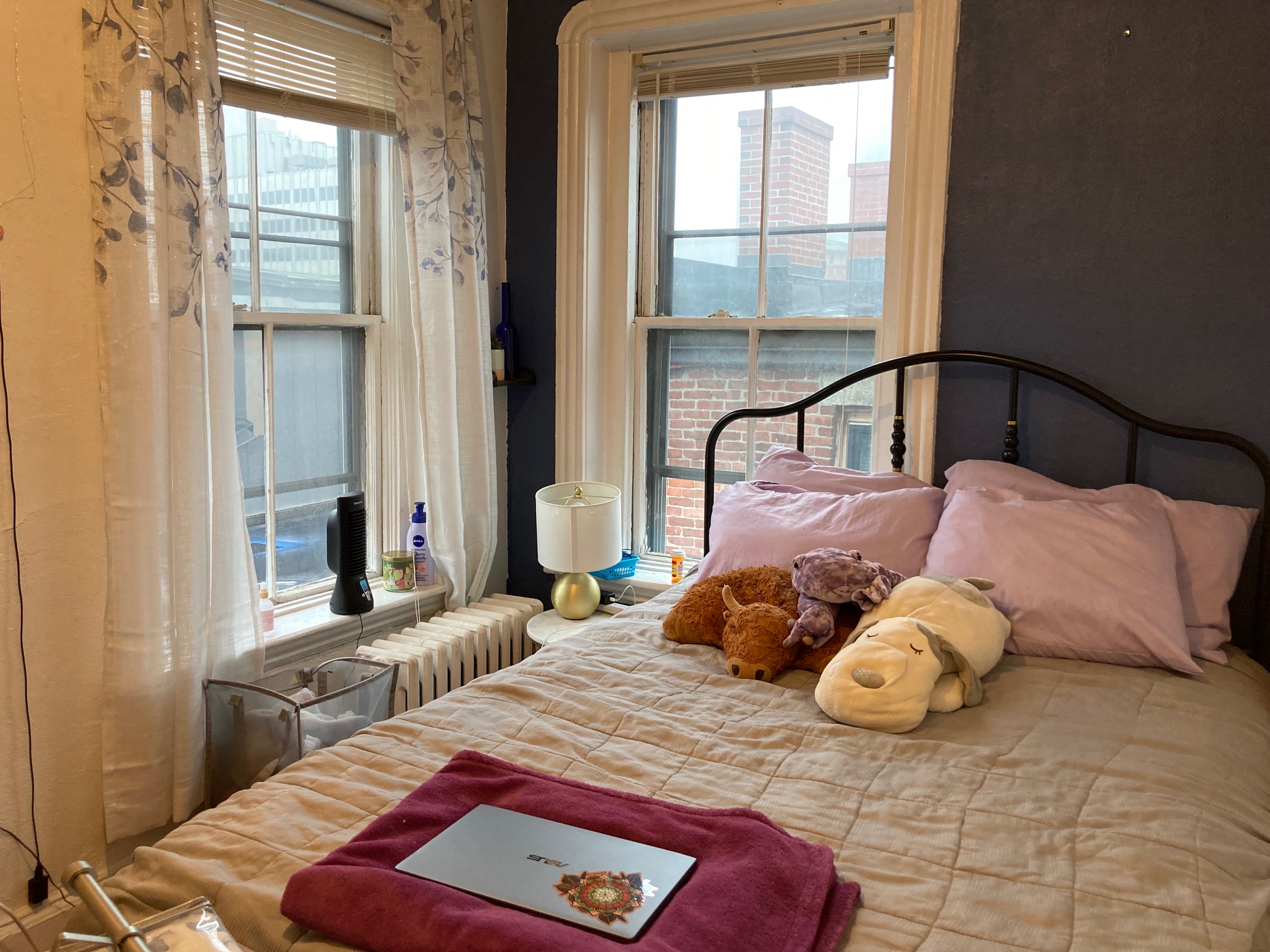 3 Phillips St, Beacon Hill