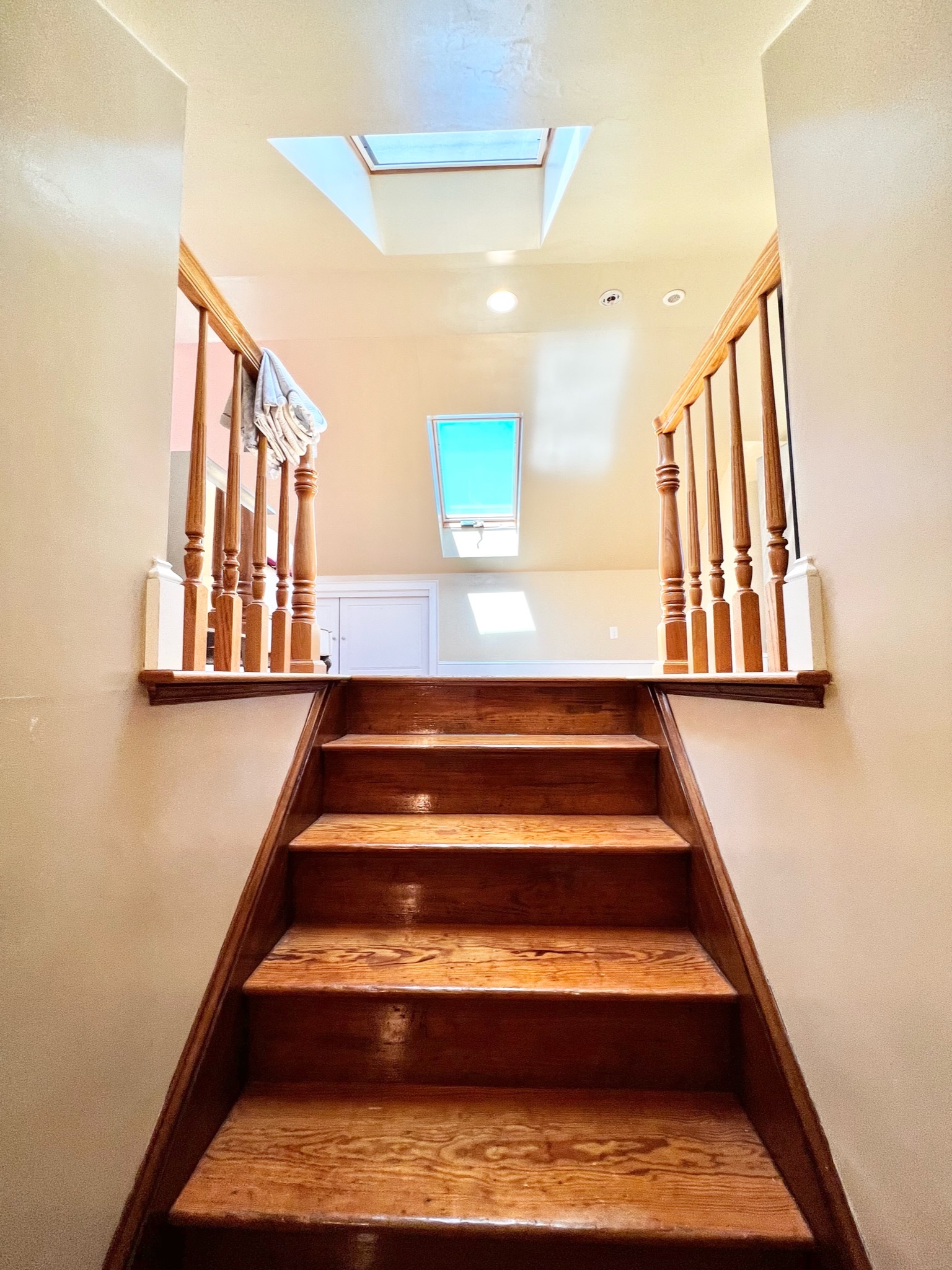 41 Blenford Rd, Brighton