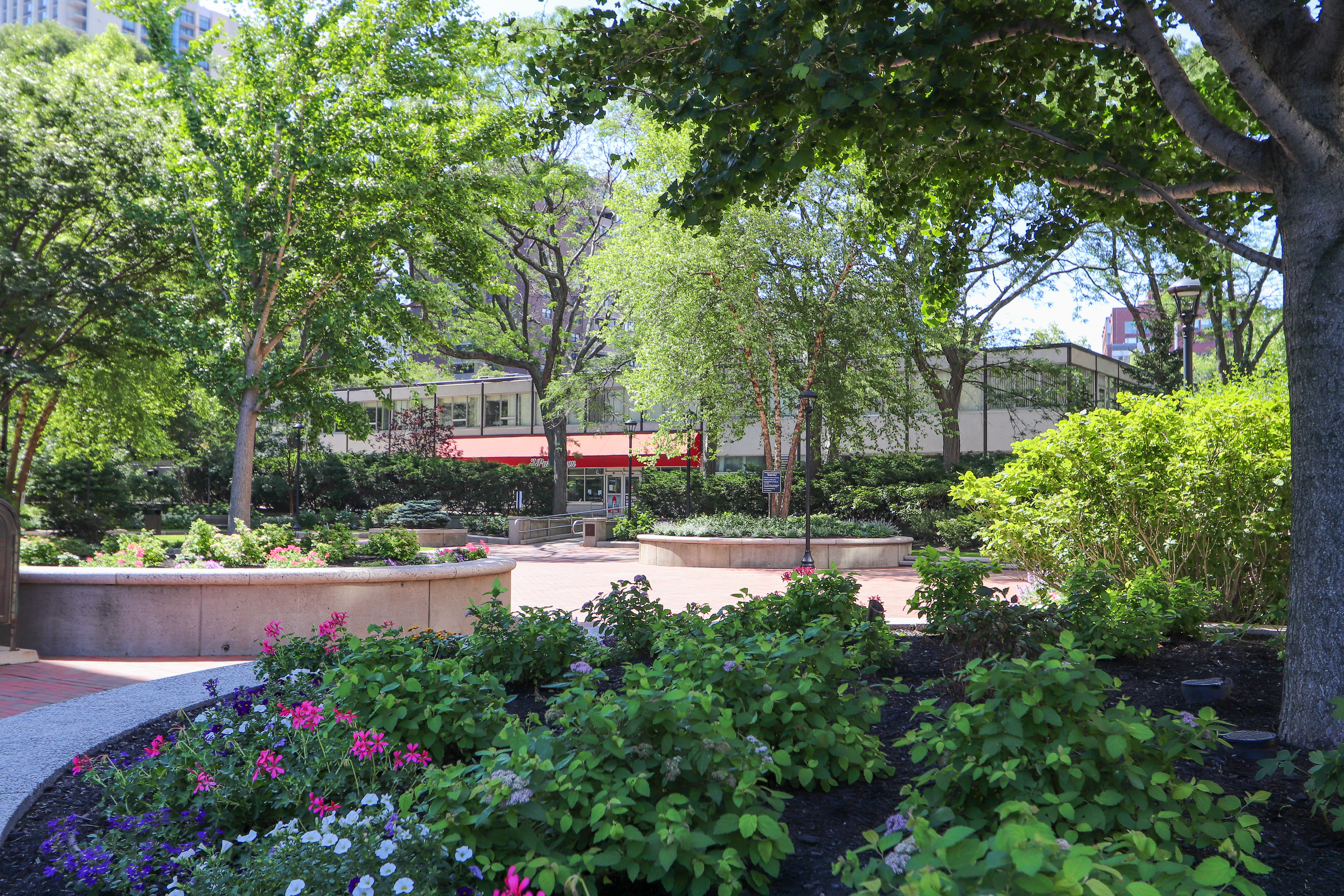 6 Whittier Pl, West End