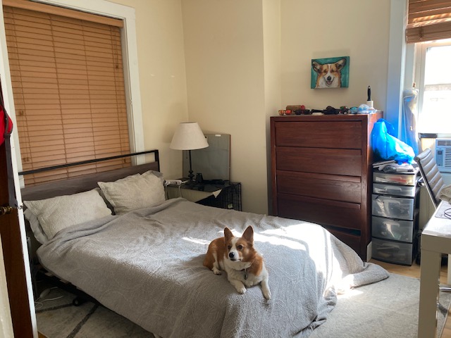 108 Myrtle St, Beacon Hill