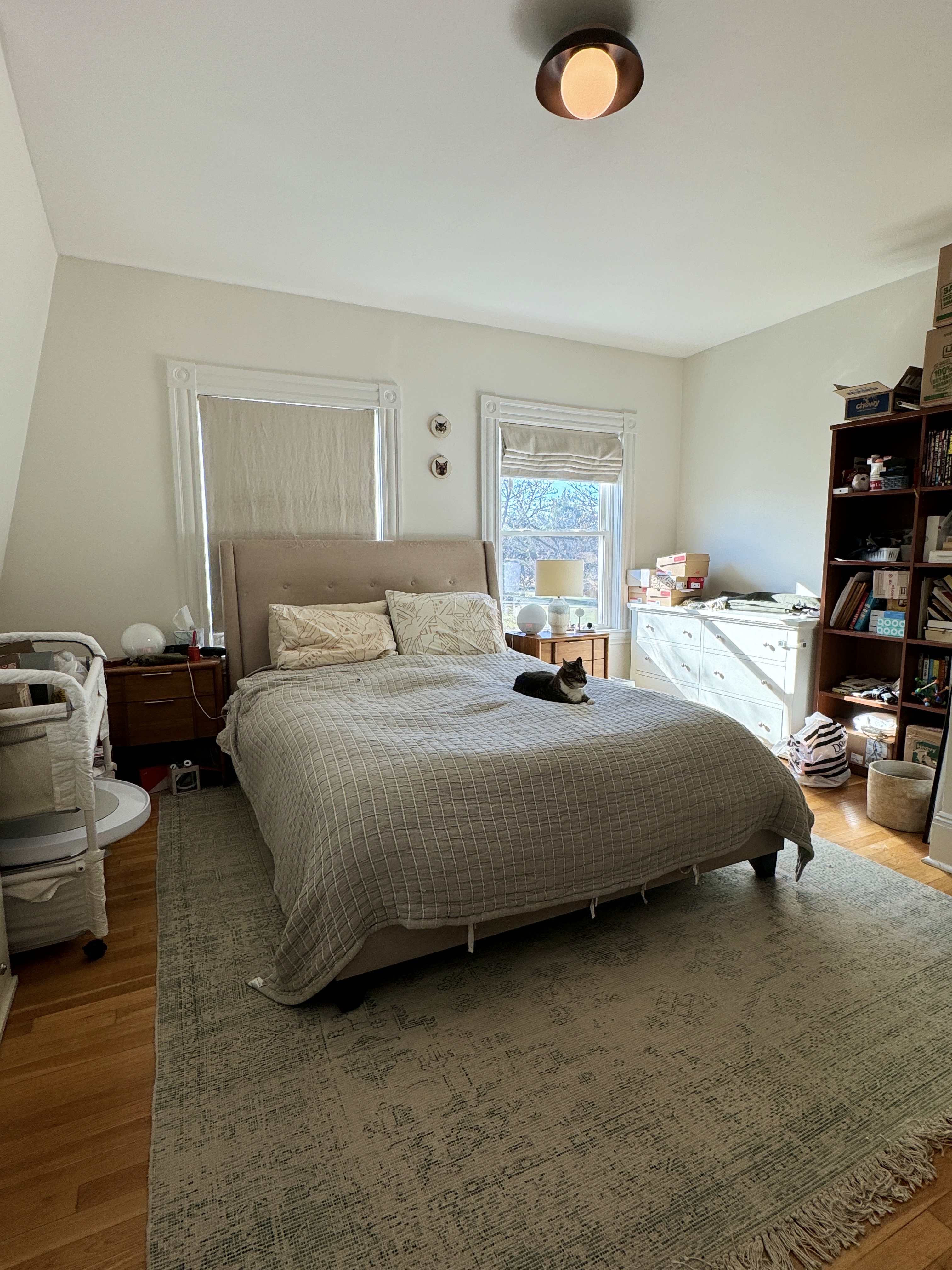 149 College Ave, Tufts