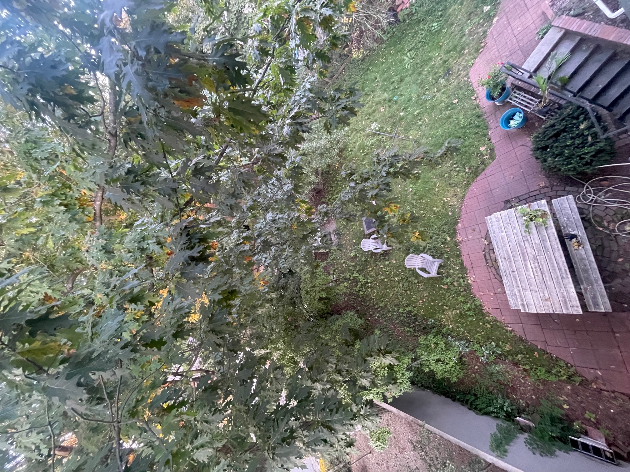 18 Kidder Ave, Davis Square