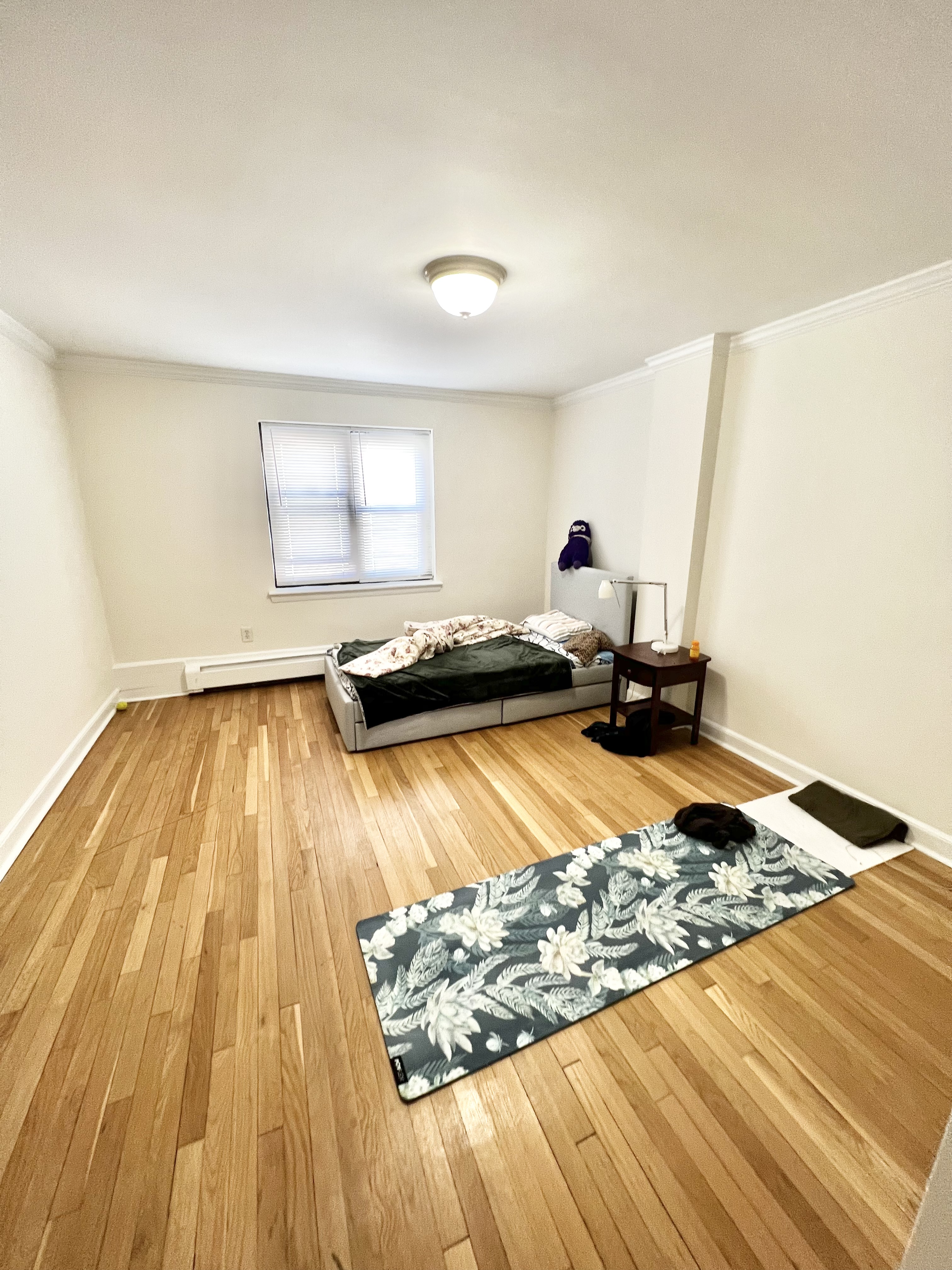 38 Harvard Ave, Coolidge Corner