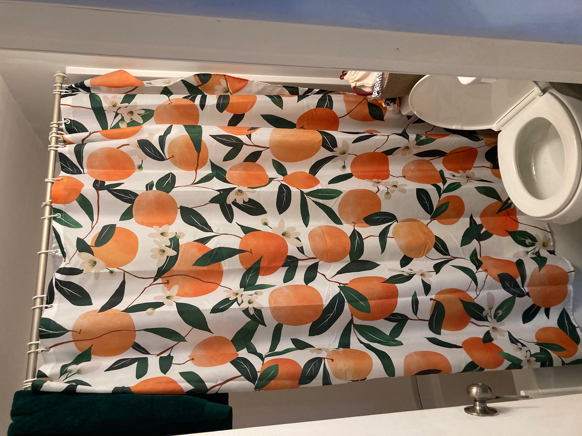 41 Irving St, Beacon Hill