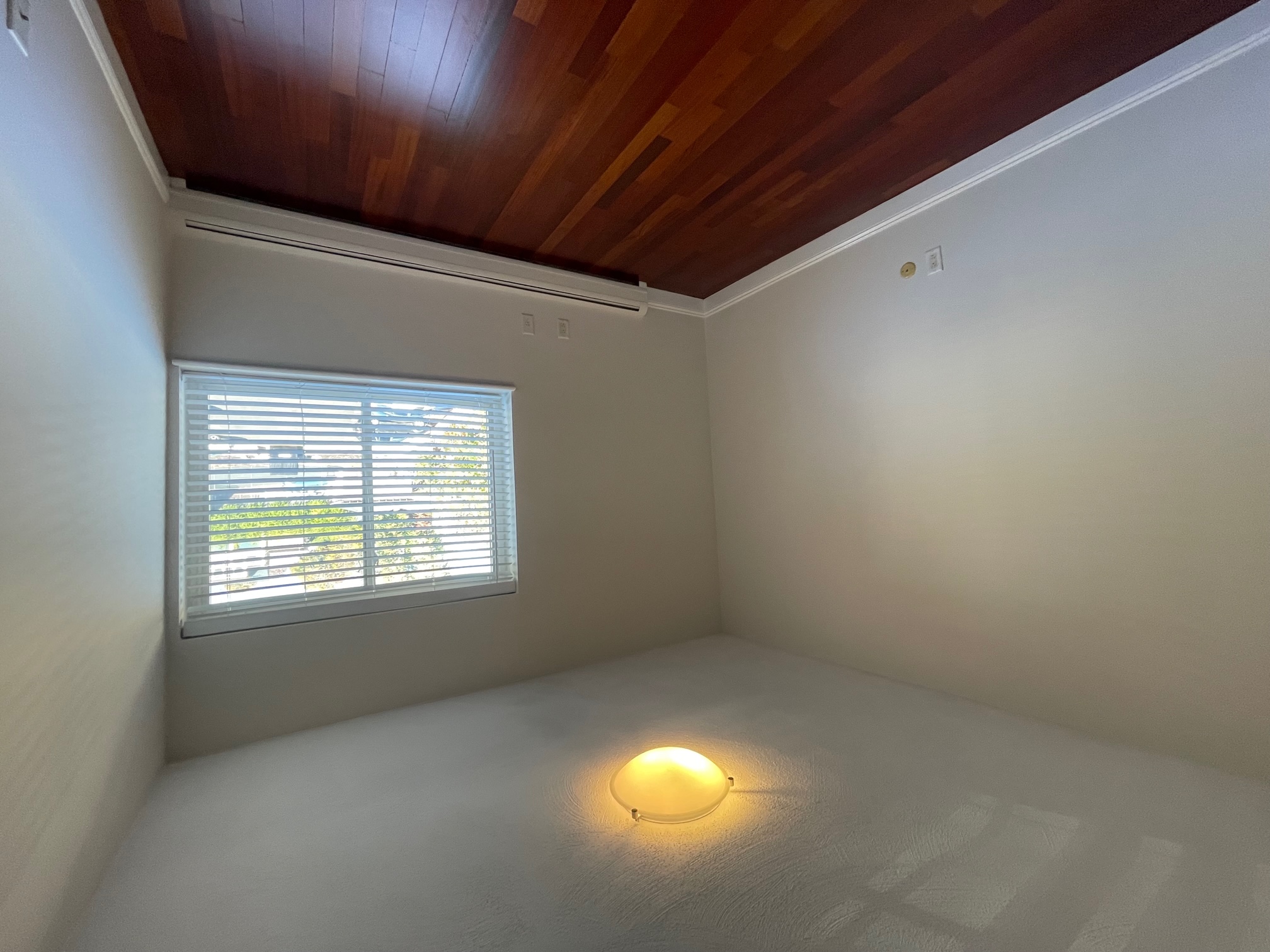 50 Craigie St, Davis Square