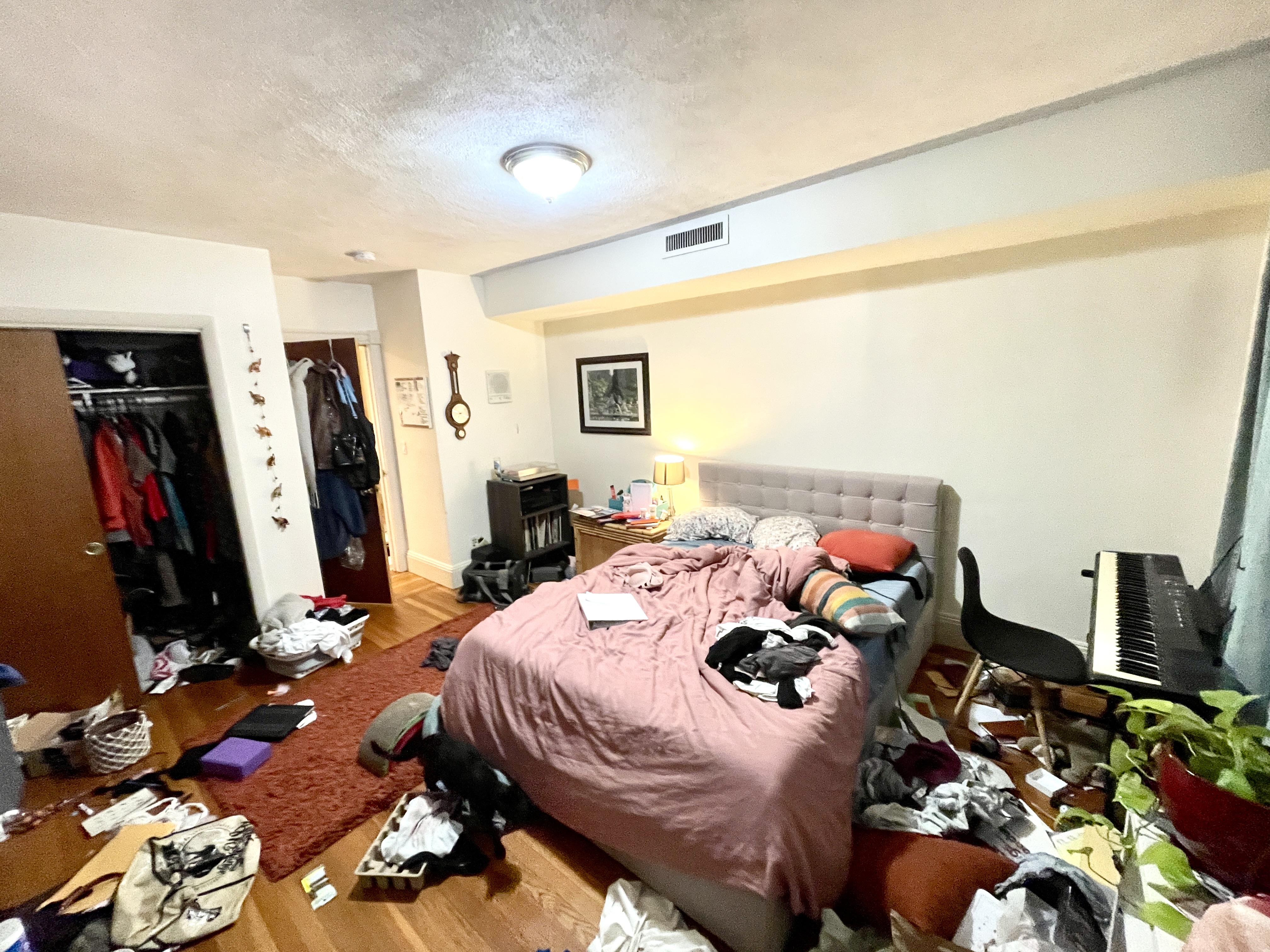 12 Dean Rd, Chestnut Hill