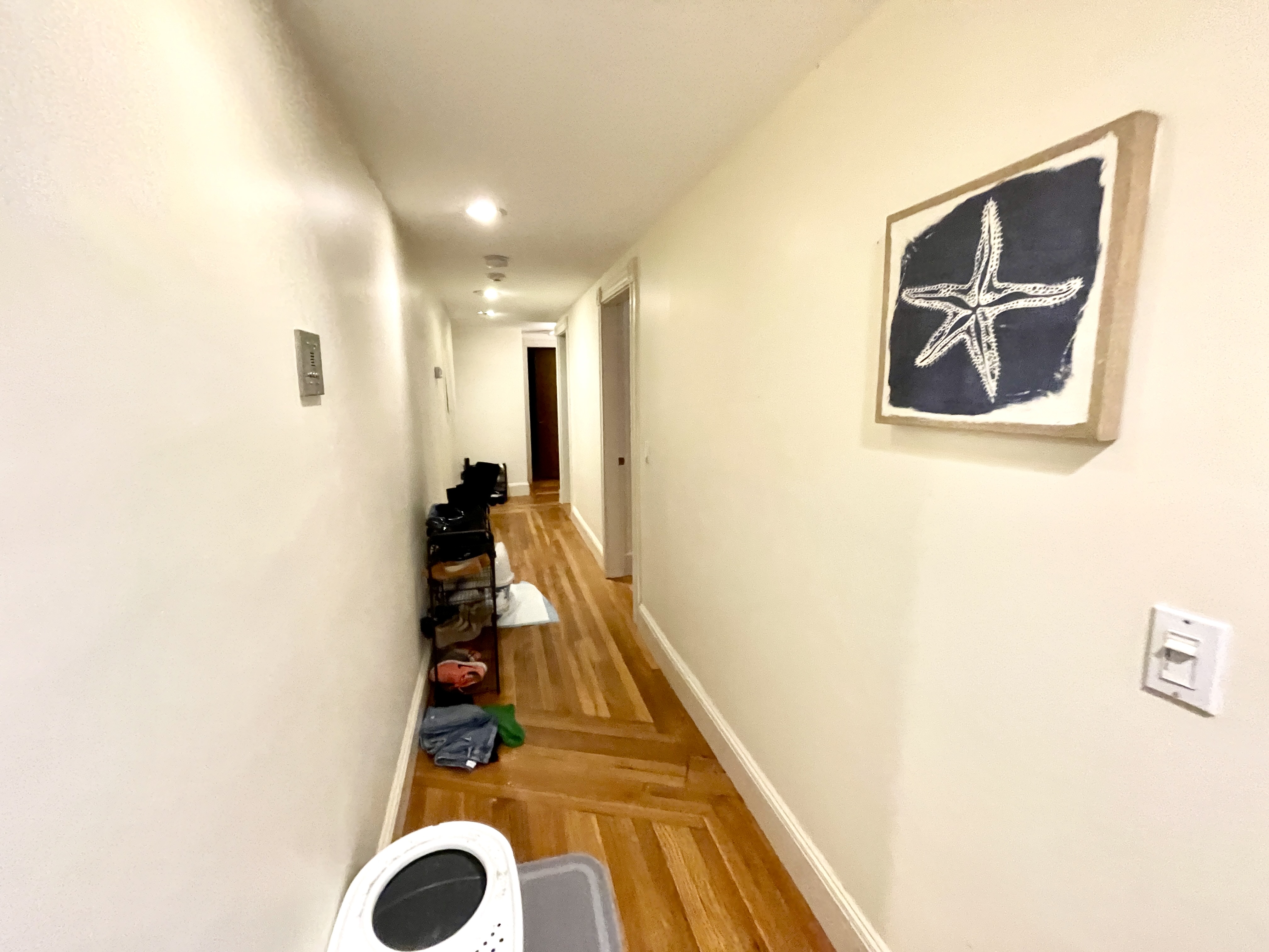 12 Dean Rd, Chestnut Hill