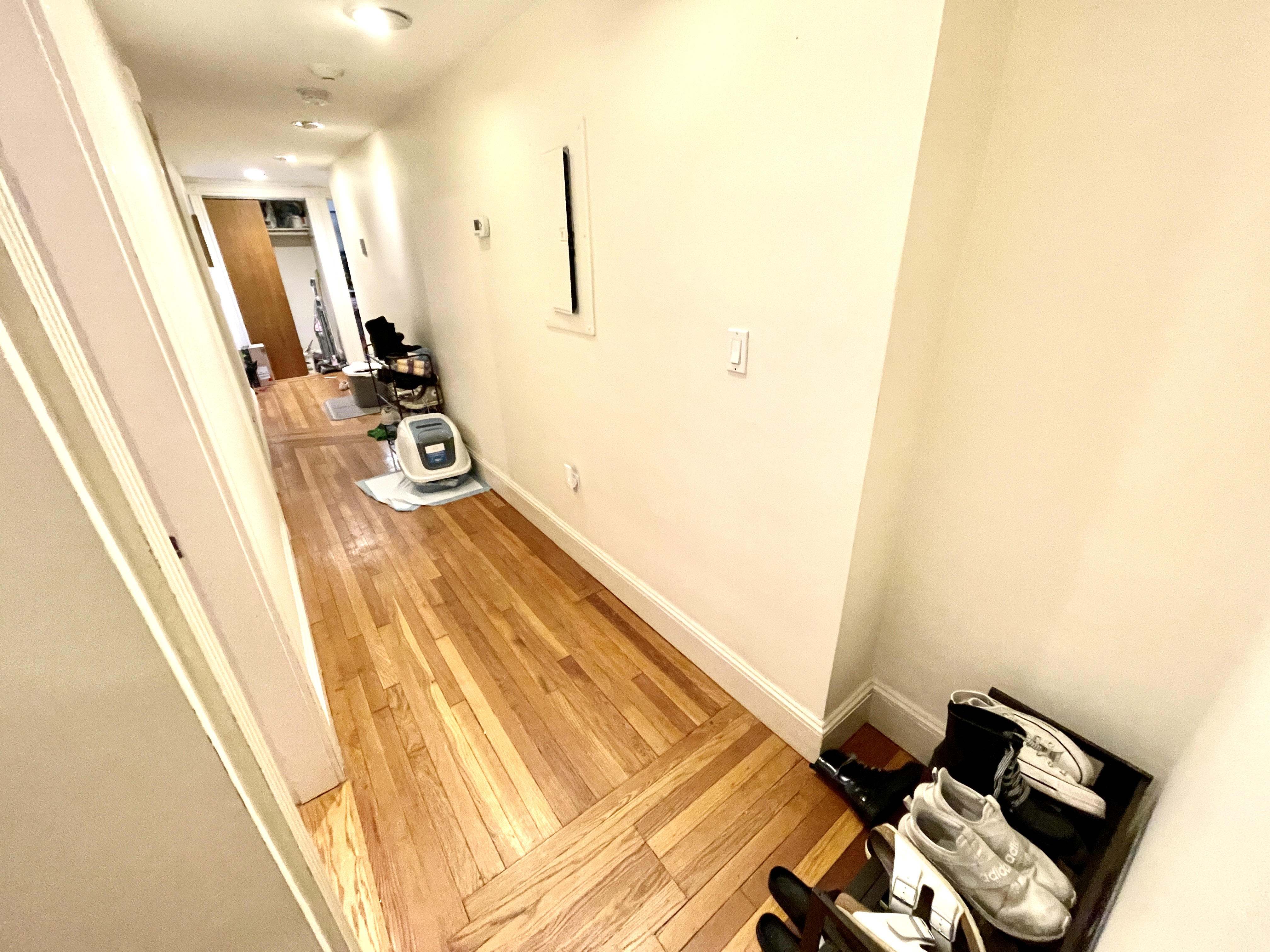 12 Dean Rd, Chestnut Hill