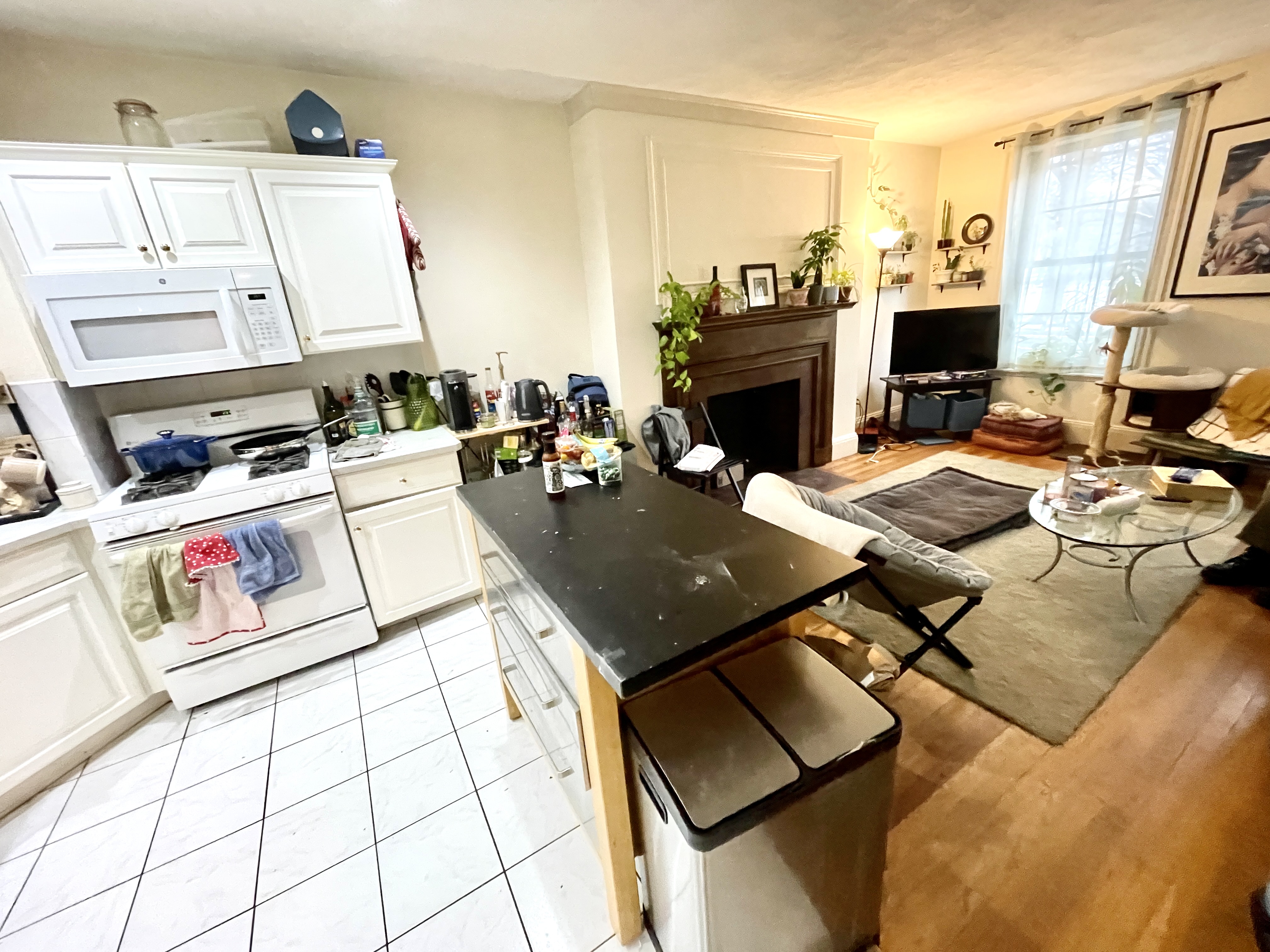 12 Dean Rd, Chestnut Hill