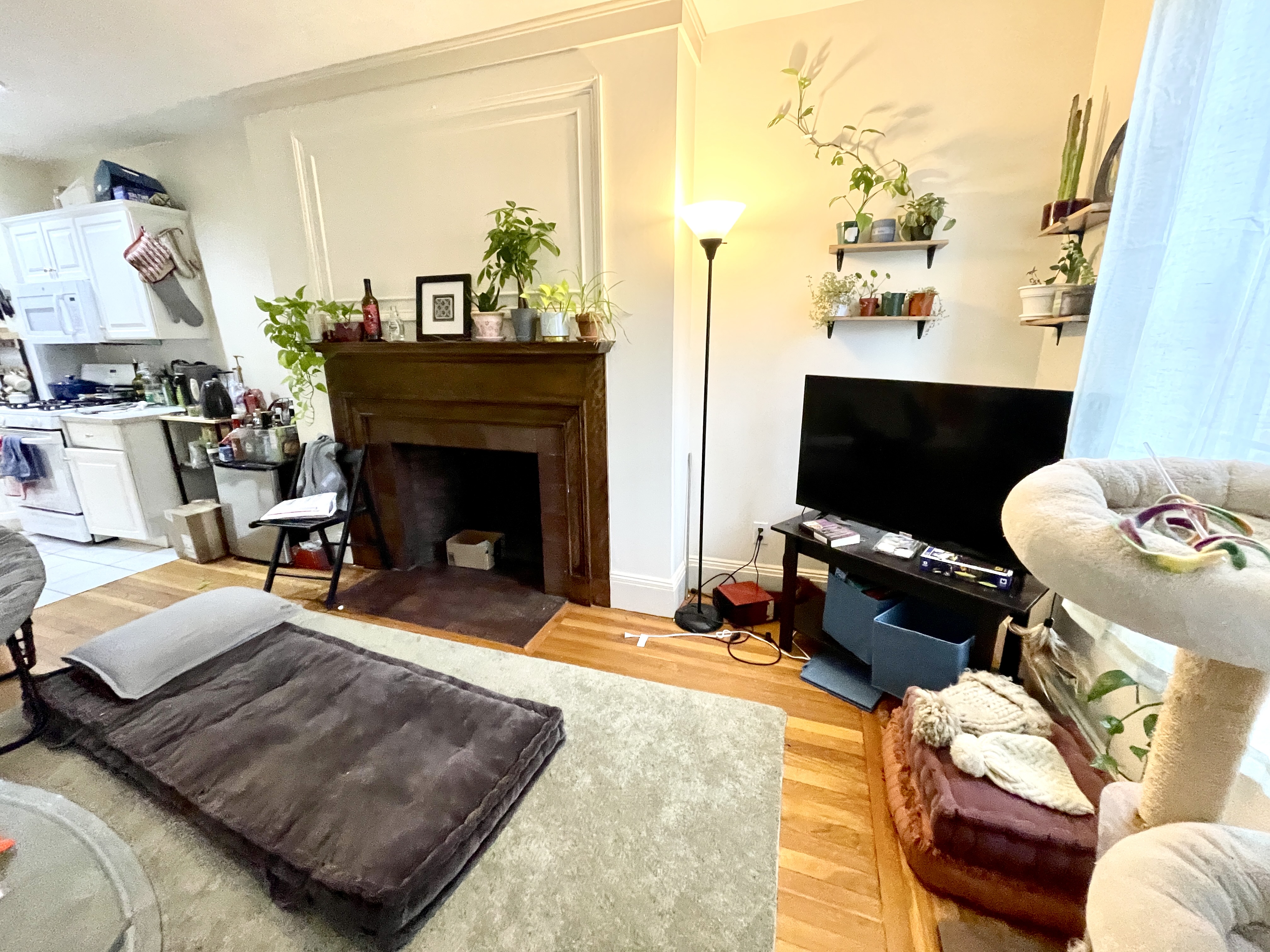 12 Dean Rd, Chestnut Hill