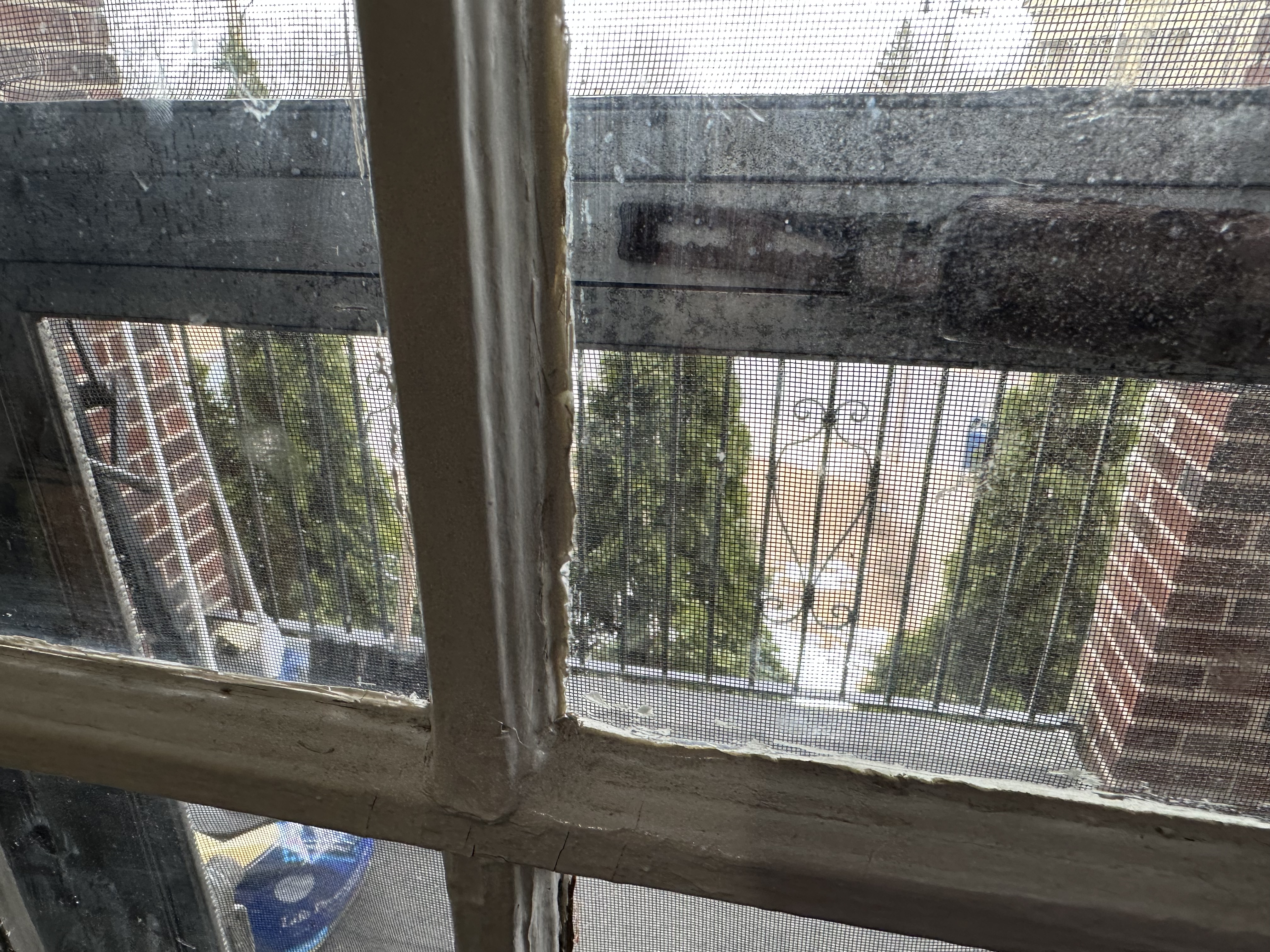 41 Chestnut Hill Ave, Brighton