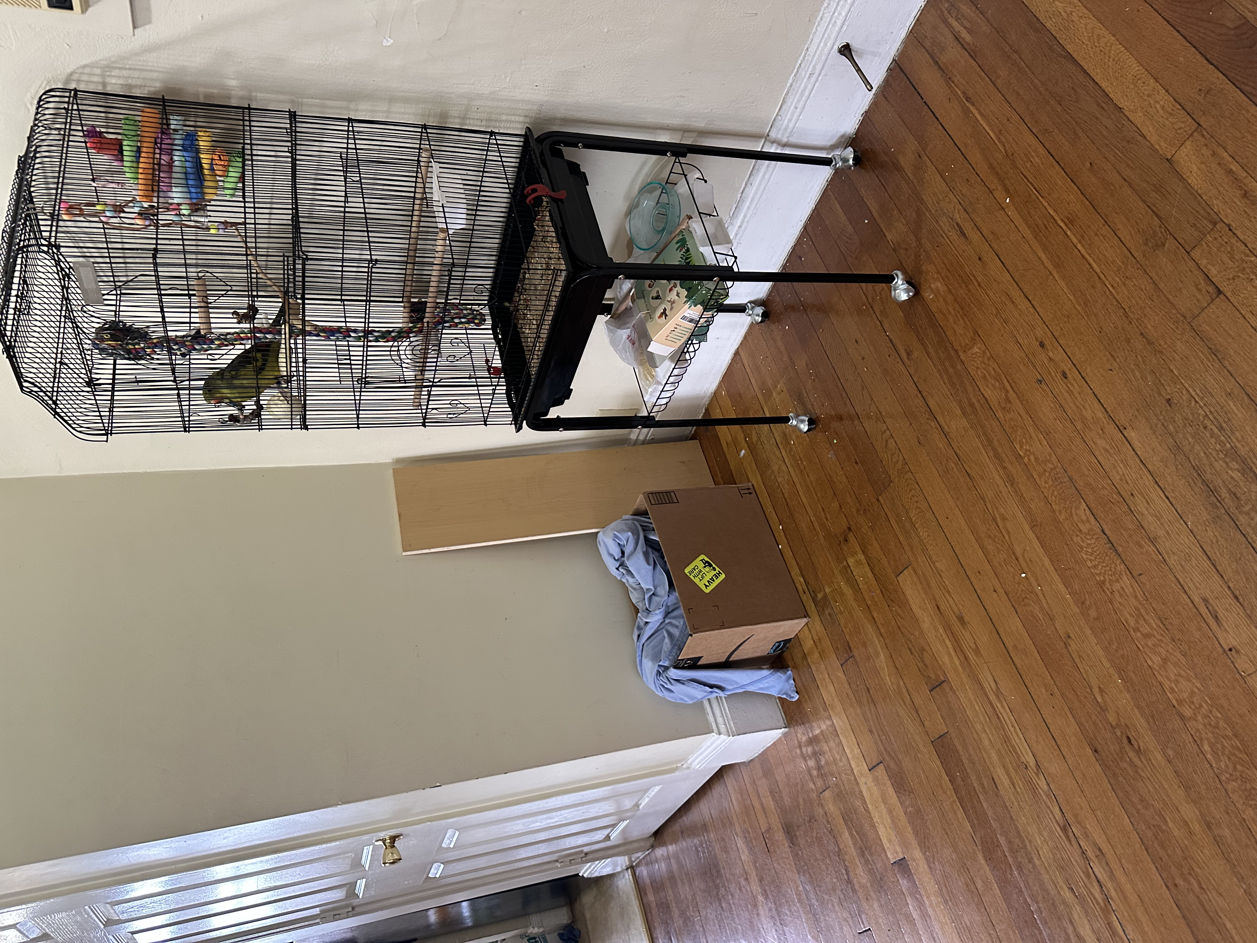 41 Chestnut Hill Ave, Brighton