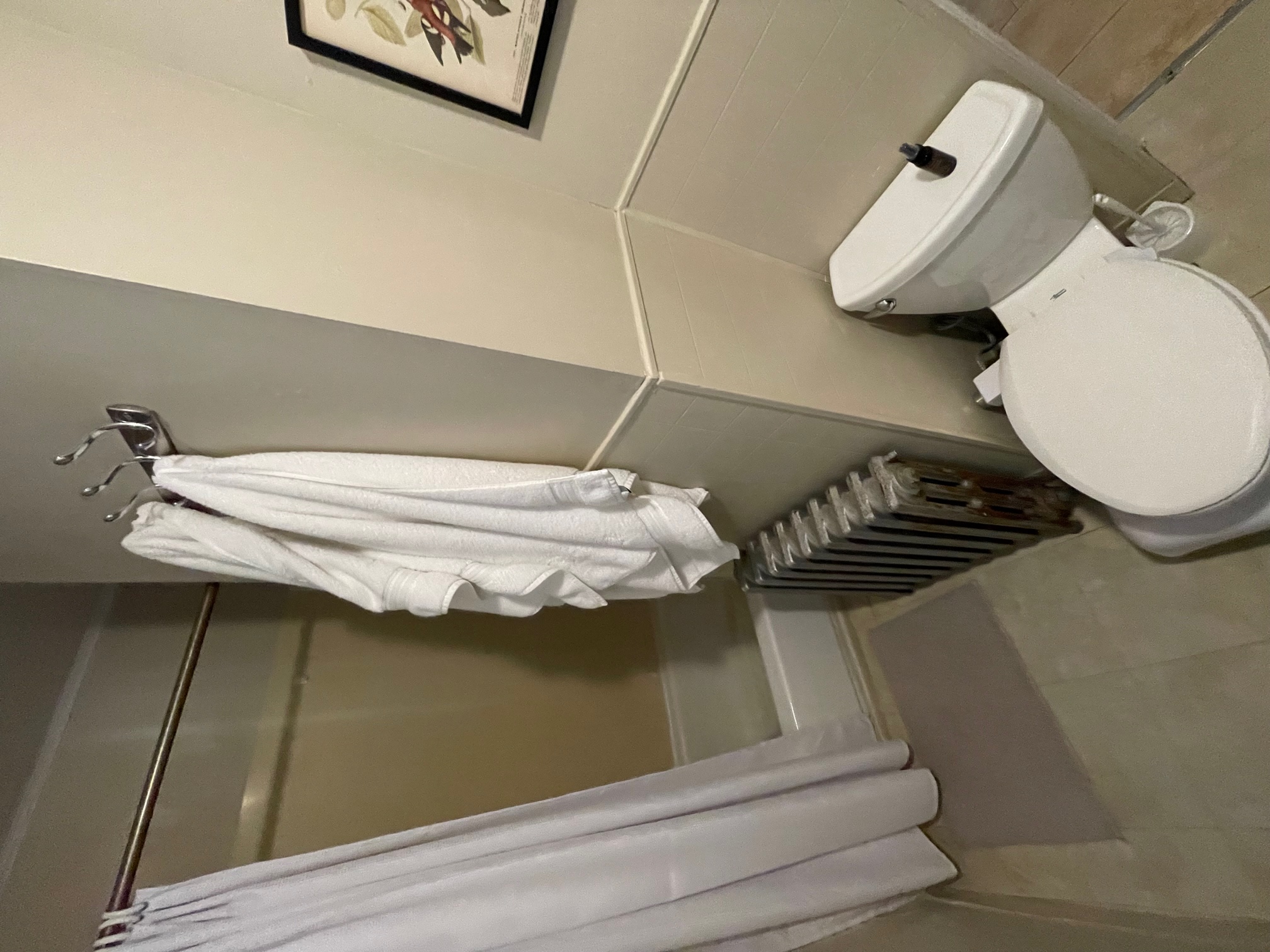 64 Winslow Ave, Davis Square