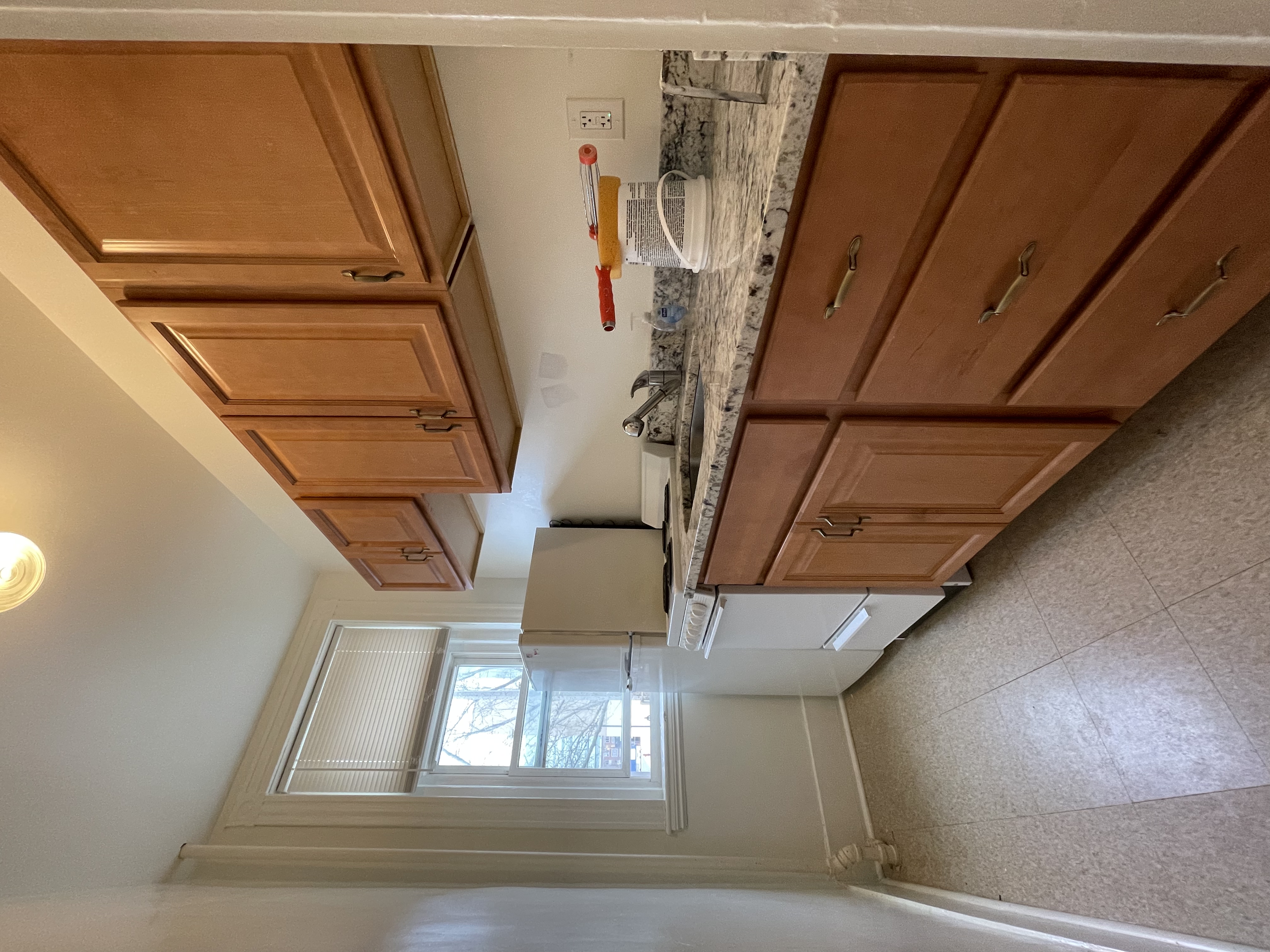 11 Tetlow St, Longwood