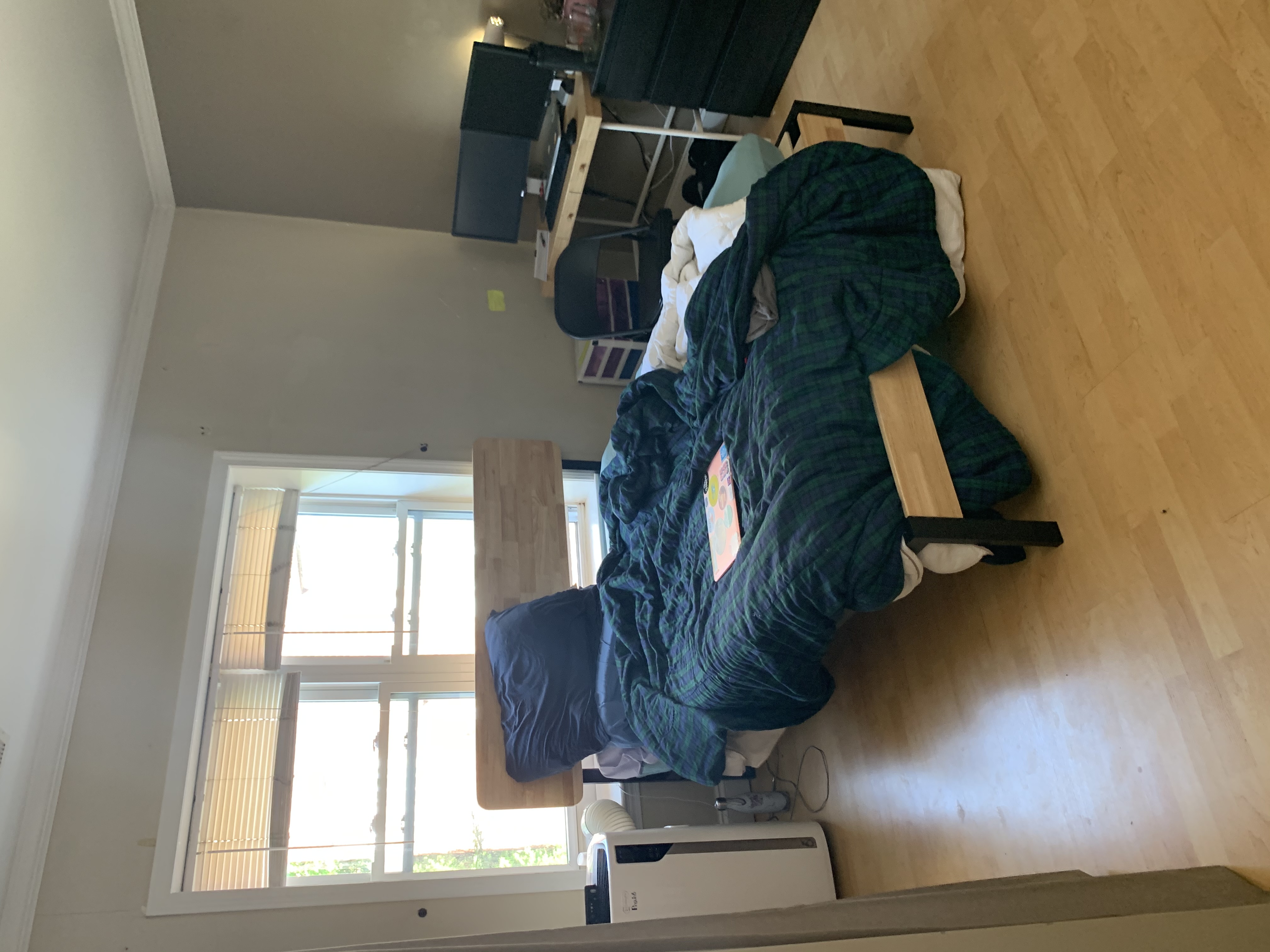 160 Newton, Brighton