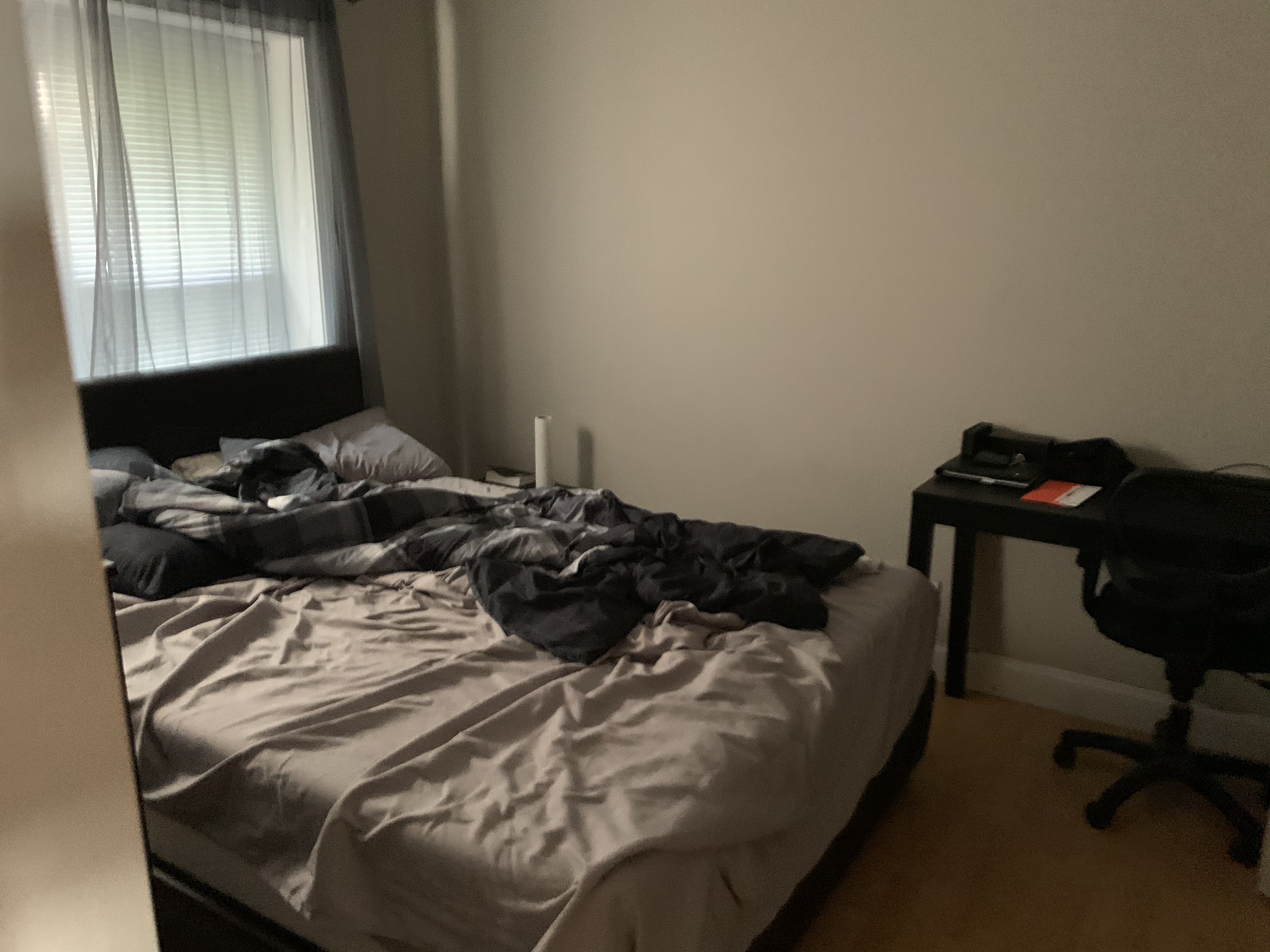 160 Newton, Brighton