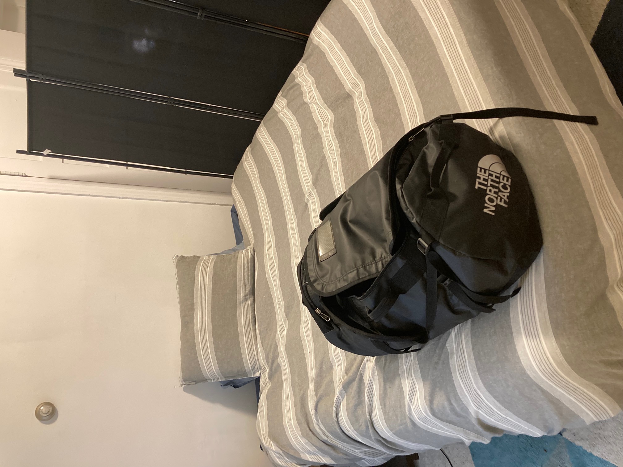 64 Phillips St, Beacon Hill