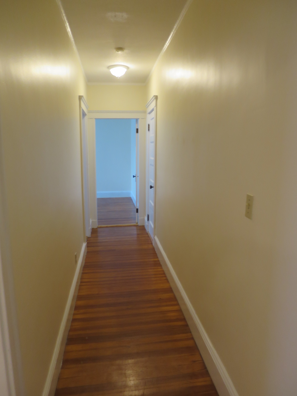 5 Freeman St, Arlington