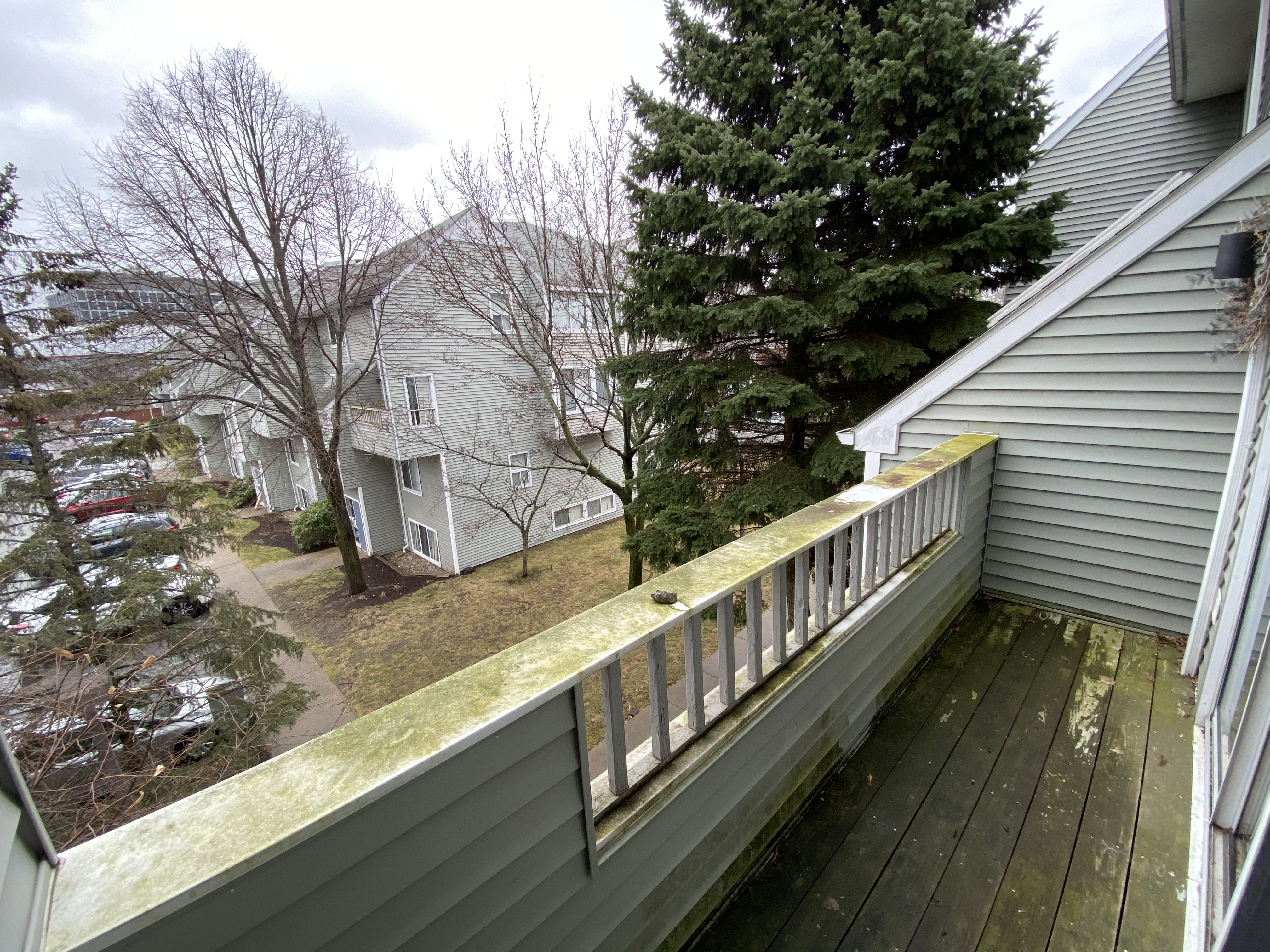 142 North Beacon St, Brighton