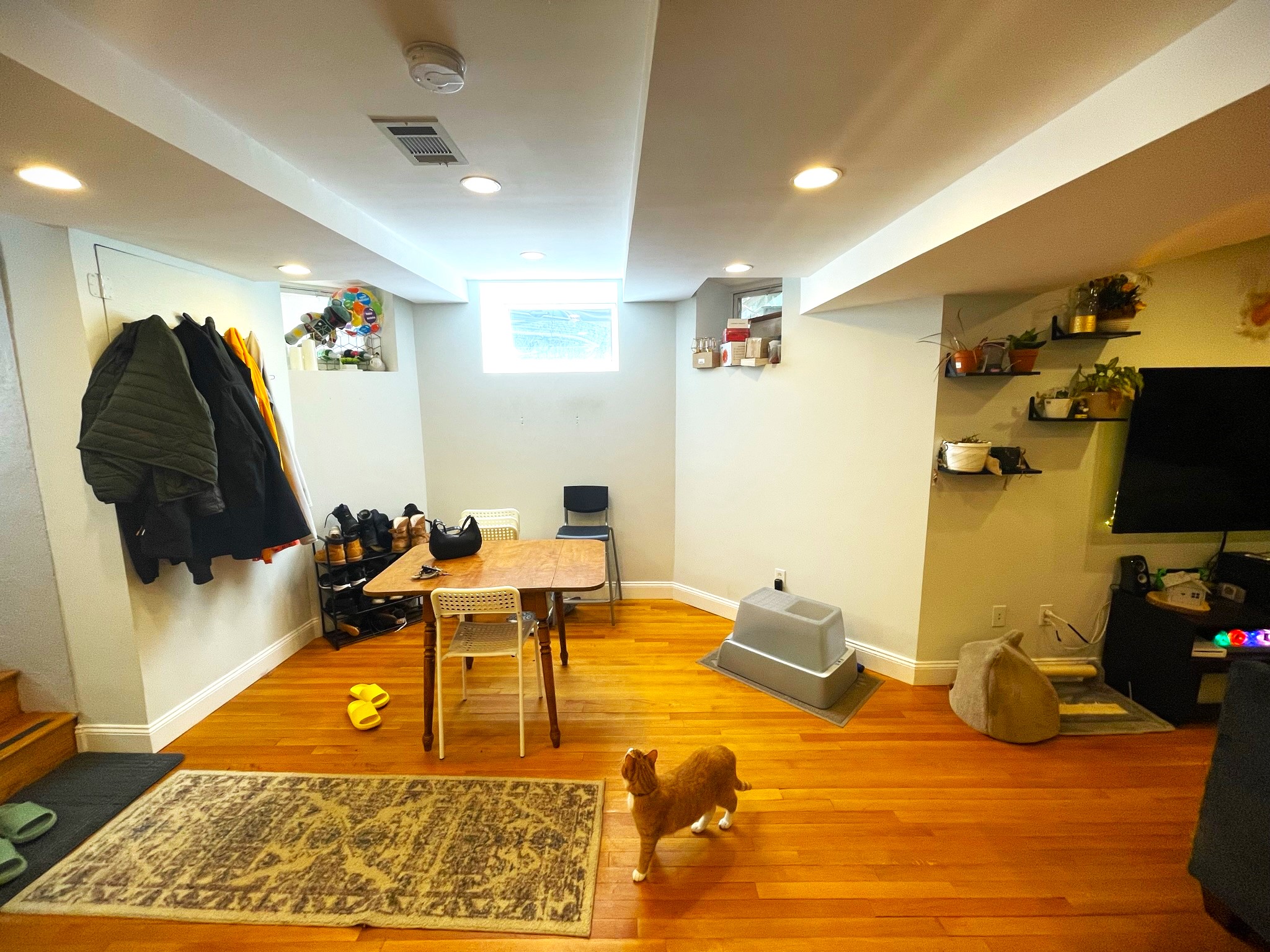 19 Abbottsford Rd, Coolidge Corner