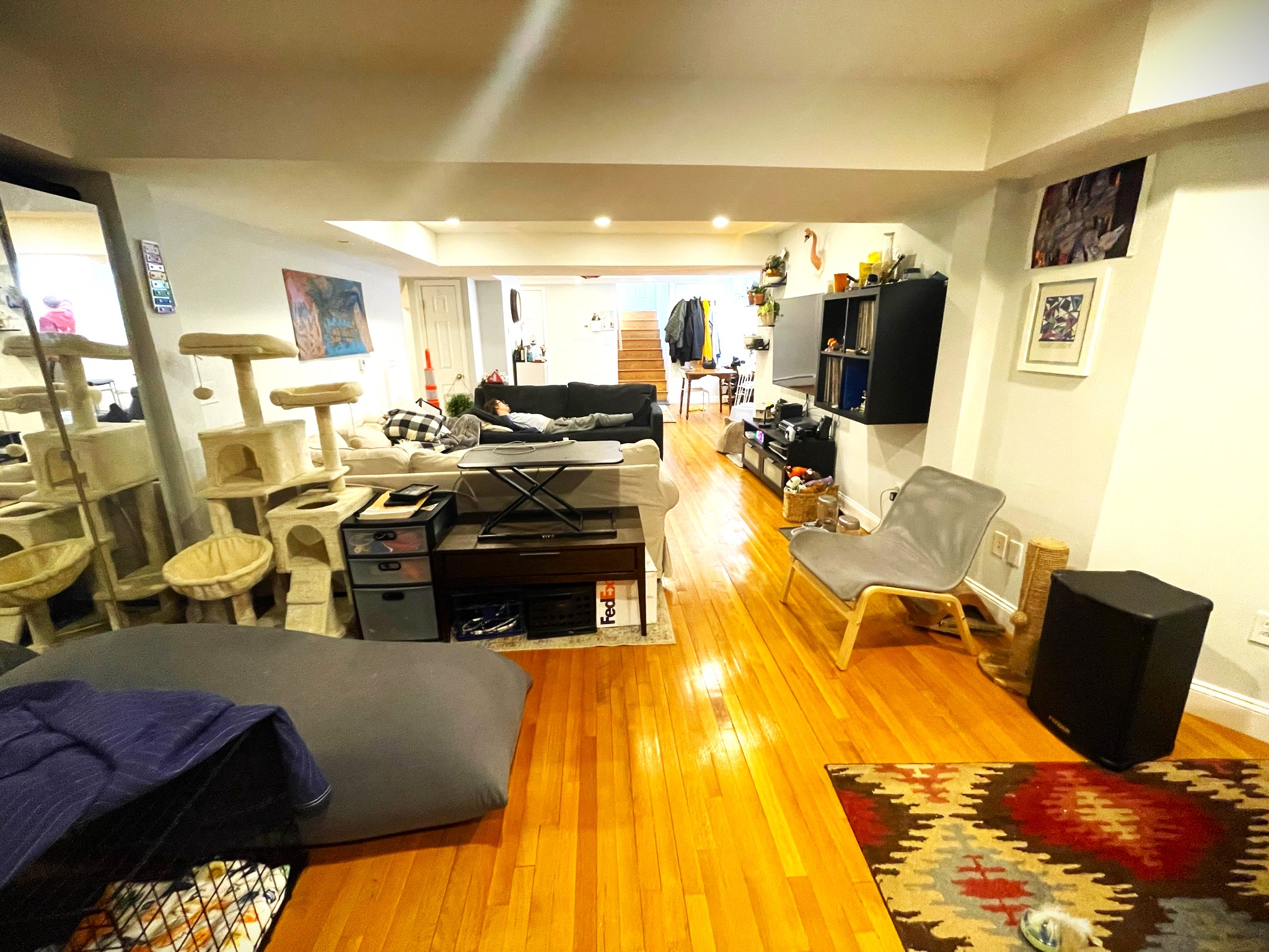 19 Abbottsford Rd, Coolidge Corner