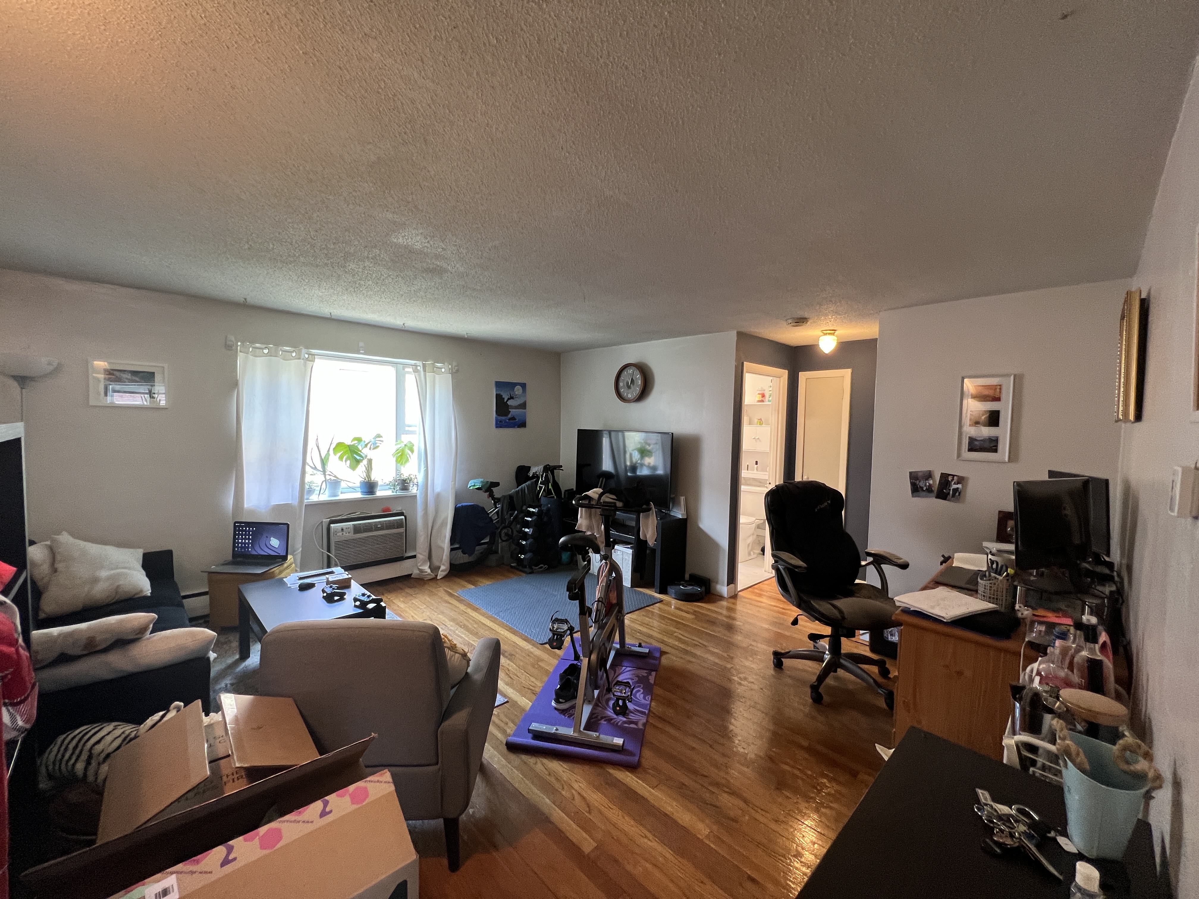 55 Colborne Rd, Brighton