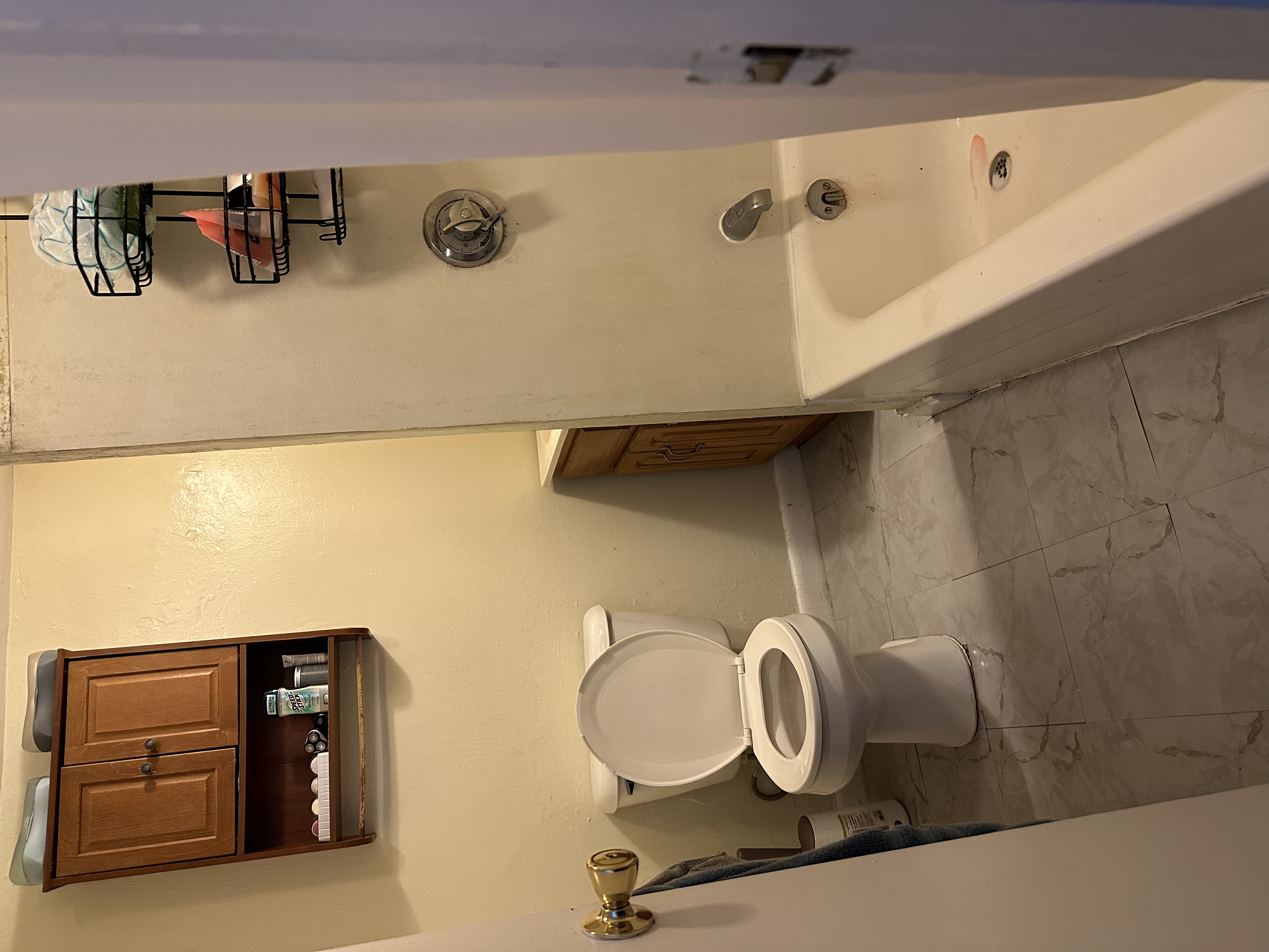 231 Harrison Ave, Chinatown