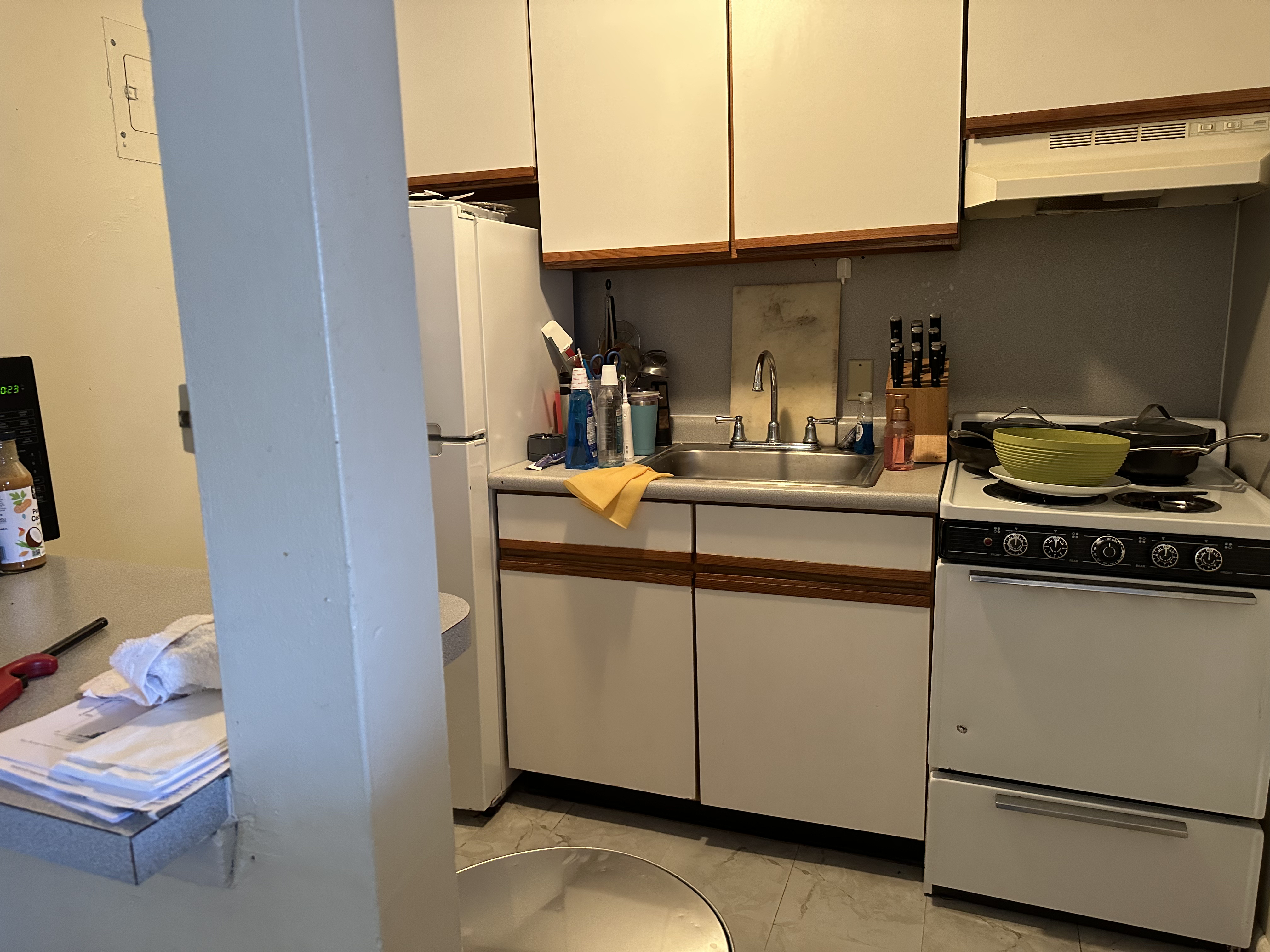 231 Harrison Ave, Chinatown